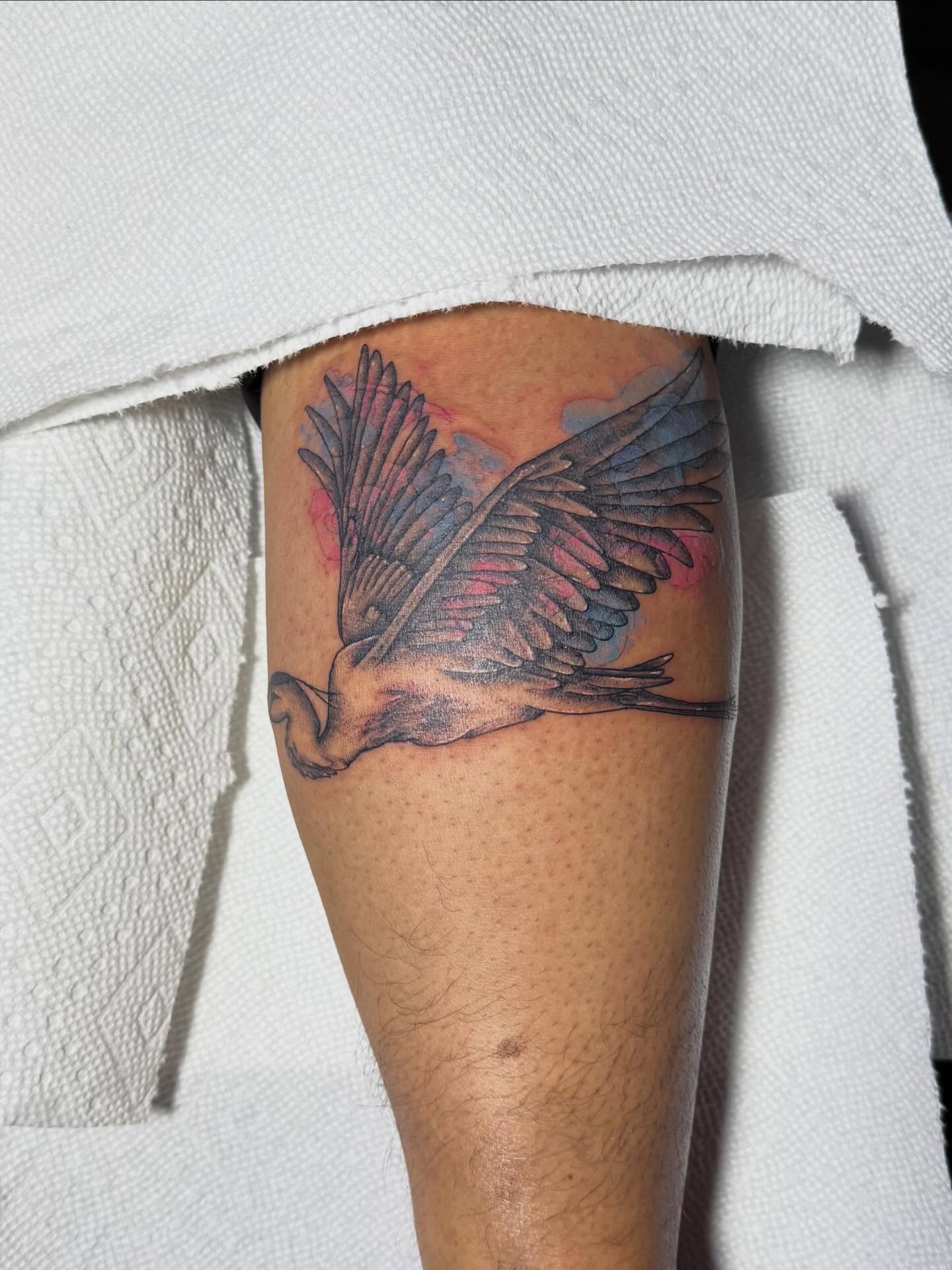 Bird watercolor tattoo on the forearm by amelia morse ⋆。°✩ mi tattoo artist