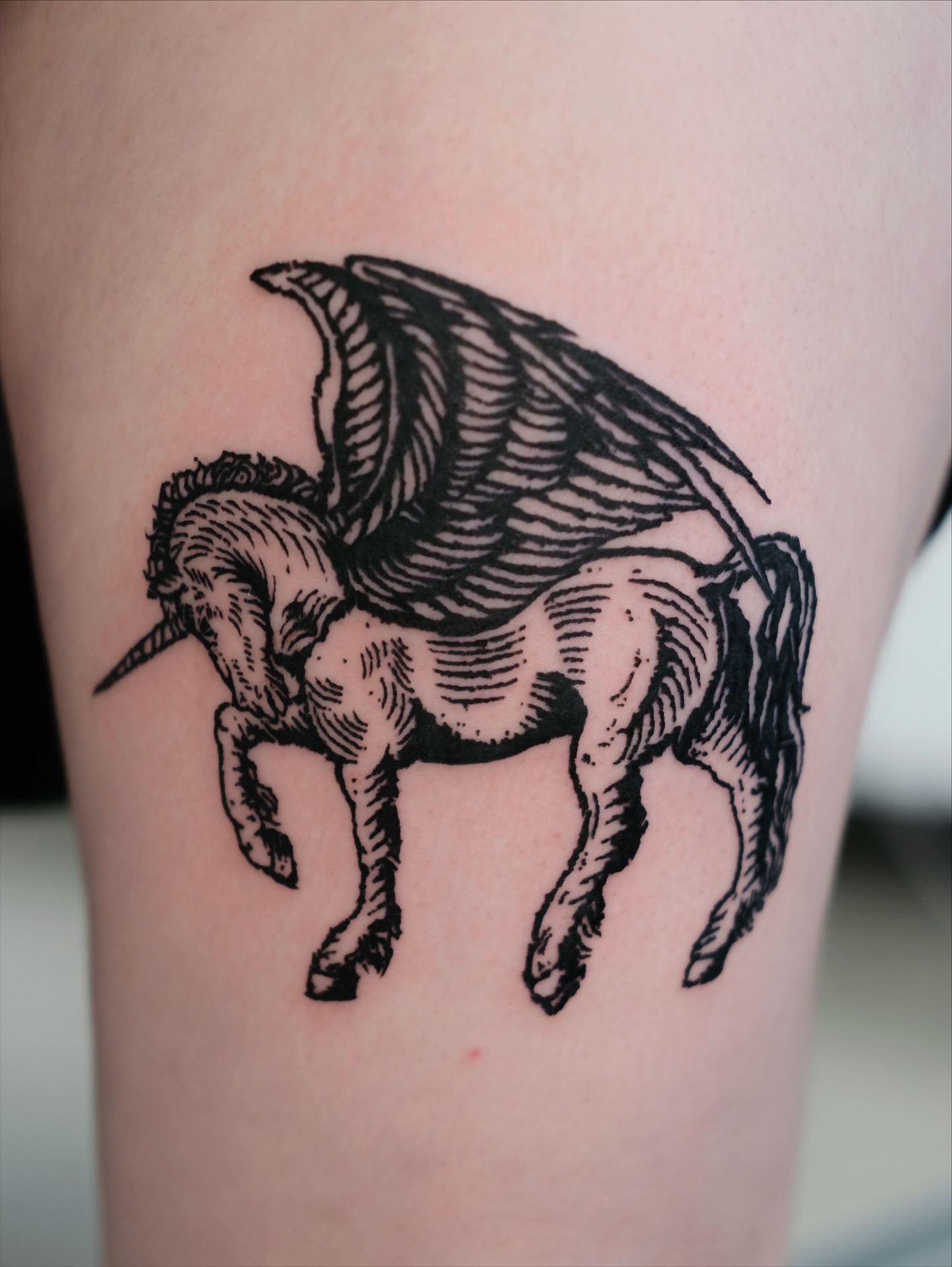 Pegasus black and grey tattoo on the thigh by ꜰʟᴏʀᴀ ᴡᴏᴏᴅᴄᴜᴛ ᴛᴀᴛᴛᴏᴏ