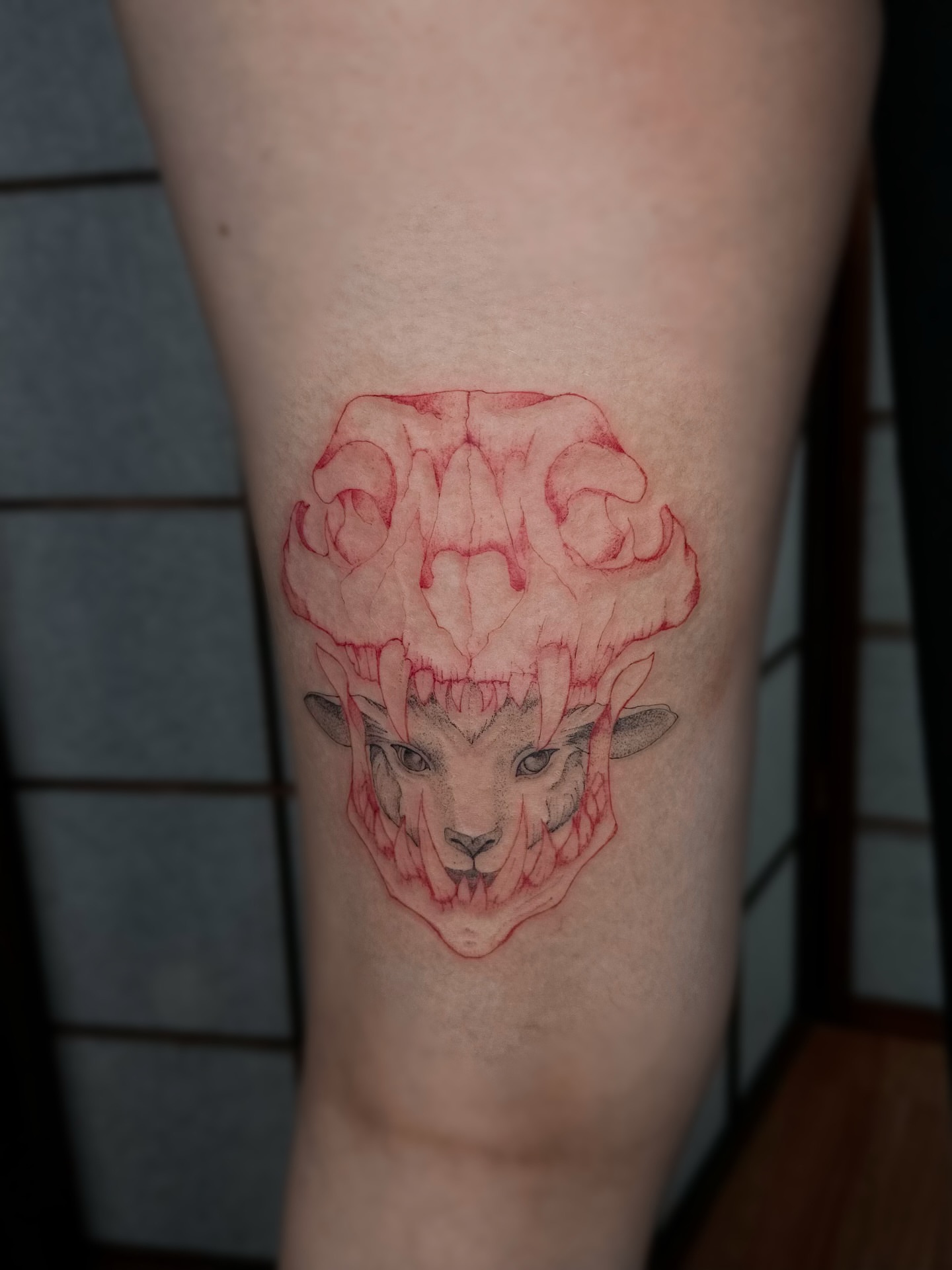 Goat head geometric tattoo on the forearm by Mila, Riga, Latvia