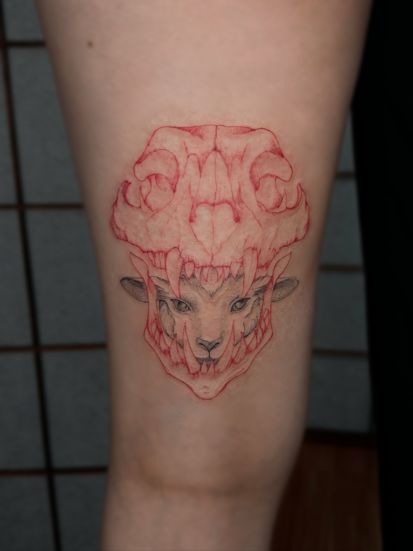 Skull dark realism tattoo on the forearm by Mila, Riga, Latvia