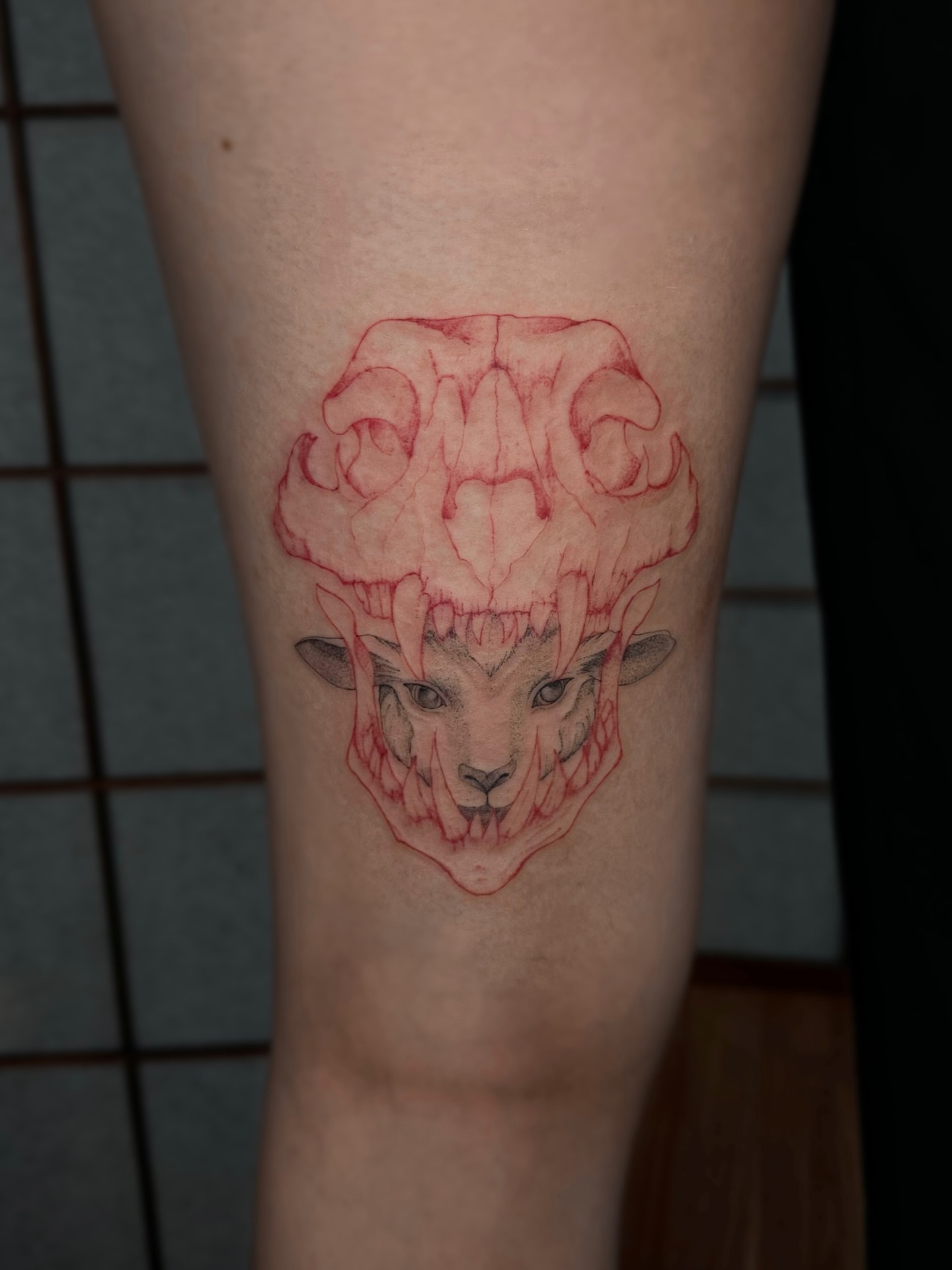 Lion head dotwork tattoo on the forearm by Mila, Riga, Latvia