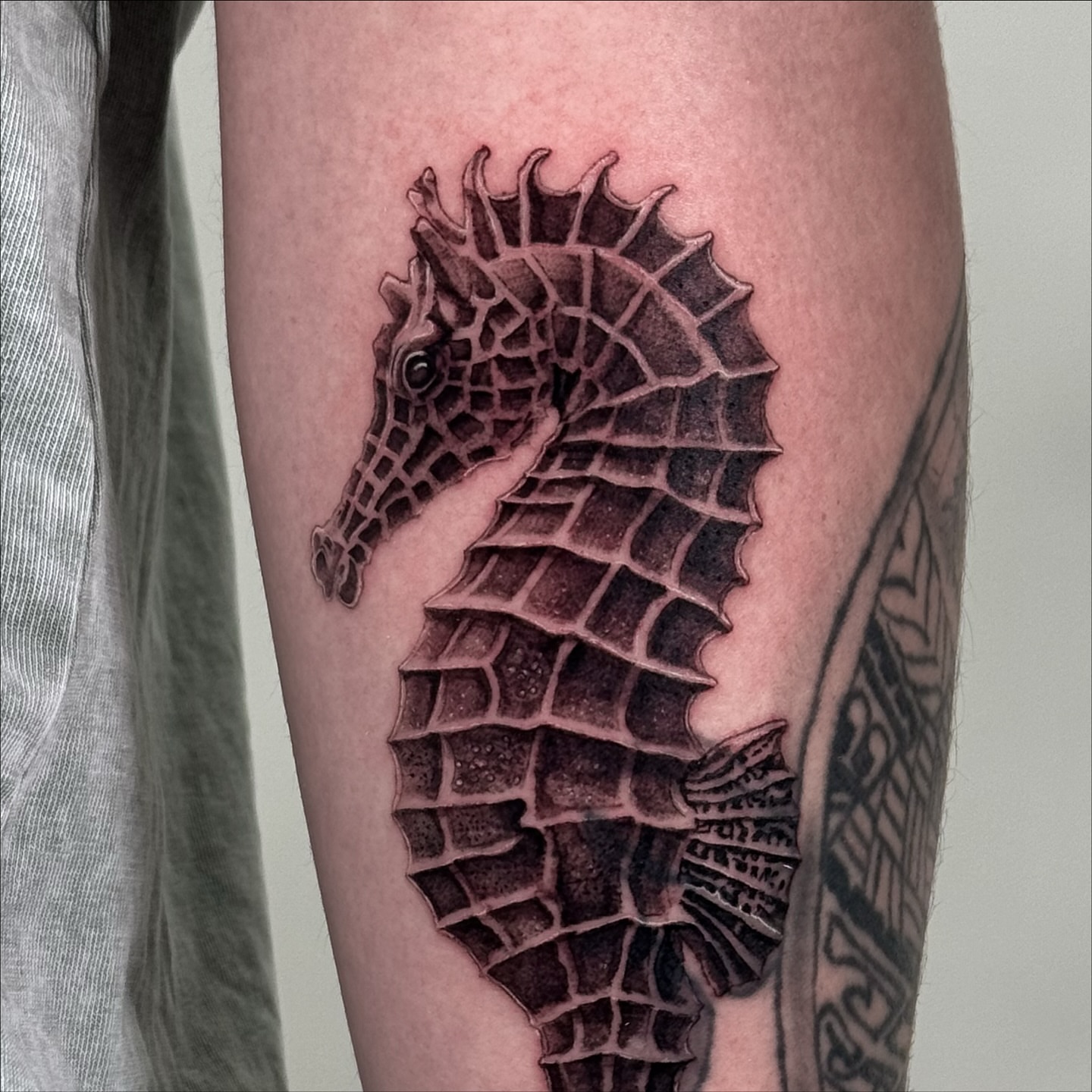 Seahorse black and grey tattoo on the forearm by Brisia Cisneros
