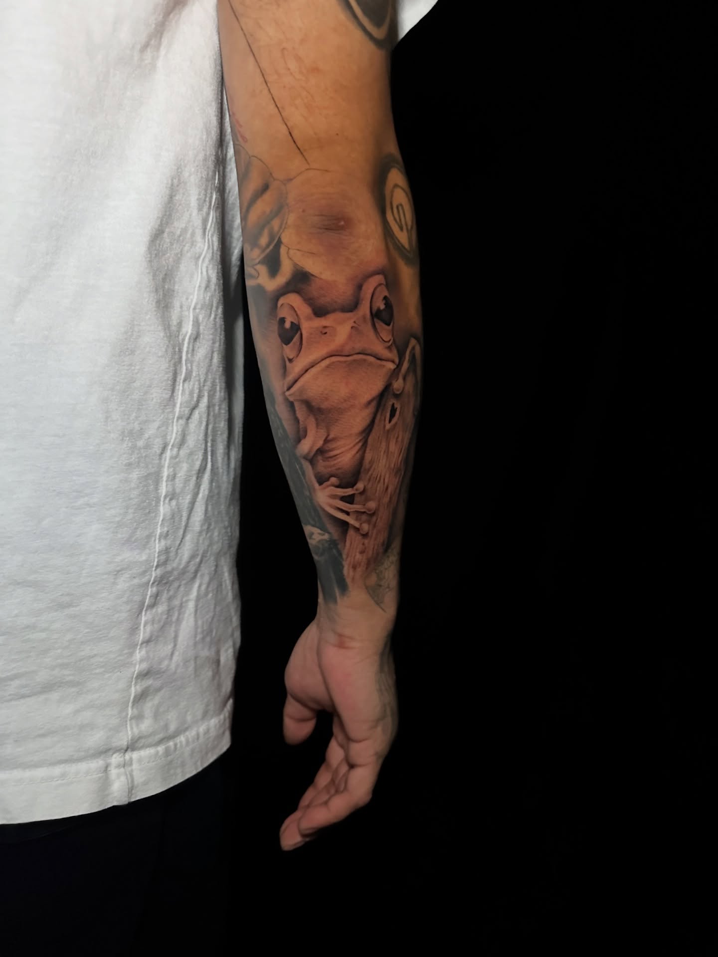 Frog realism tattoo on the forearm by Dani B.