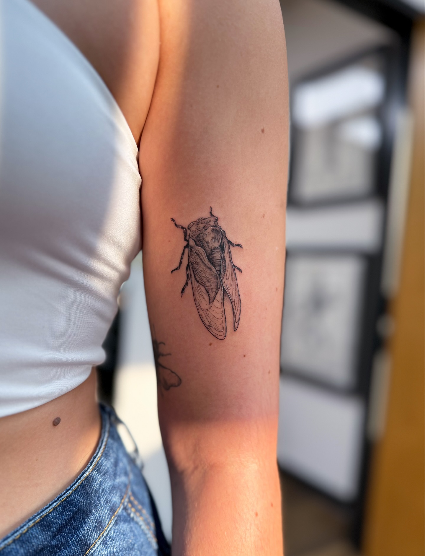 Cicada realism tattoo on the forearm by Adriano Bassalo