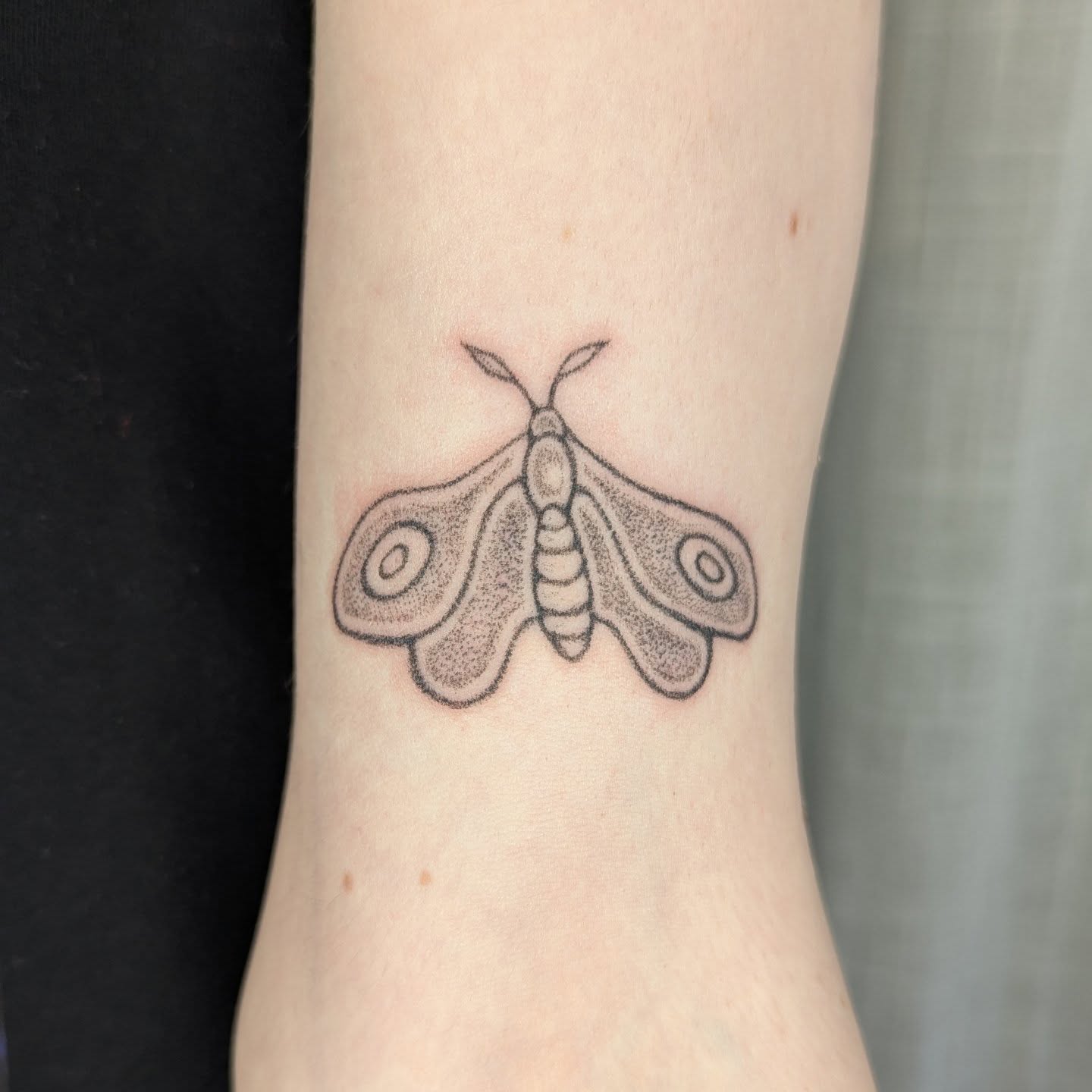 Moth dotwork tattoo on the forearm by theo, Portland, Oregon