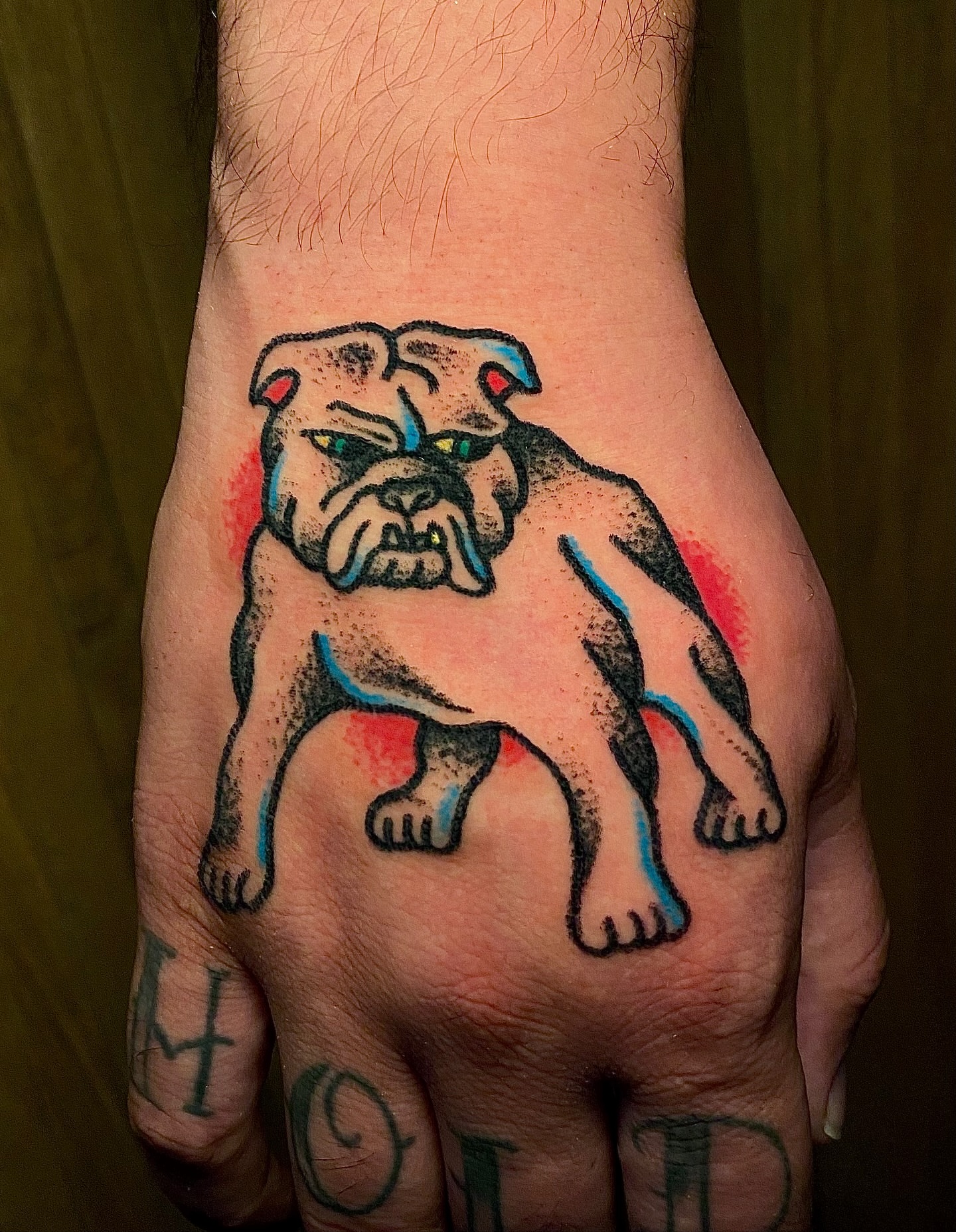 Bulldog American traditional tattoo on the hand by Daniel Diego