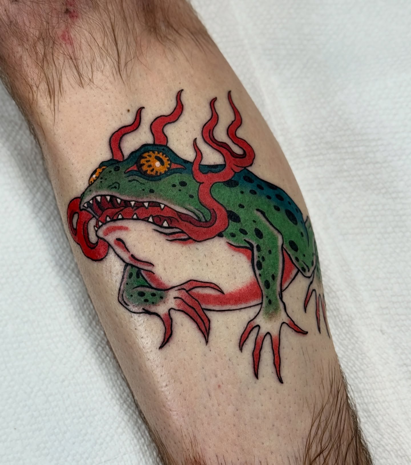 Frog American traditional tattoo on the forearm by Christopher  Cousins, Nashville, Tennessee