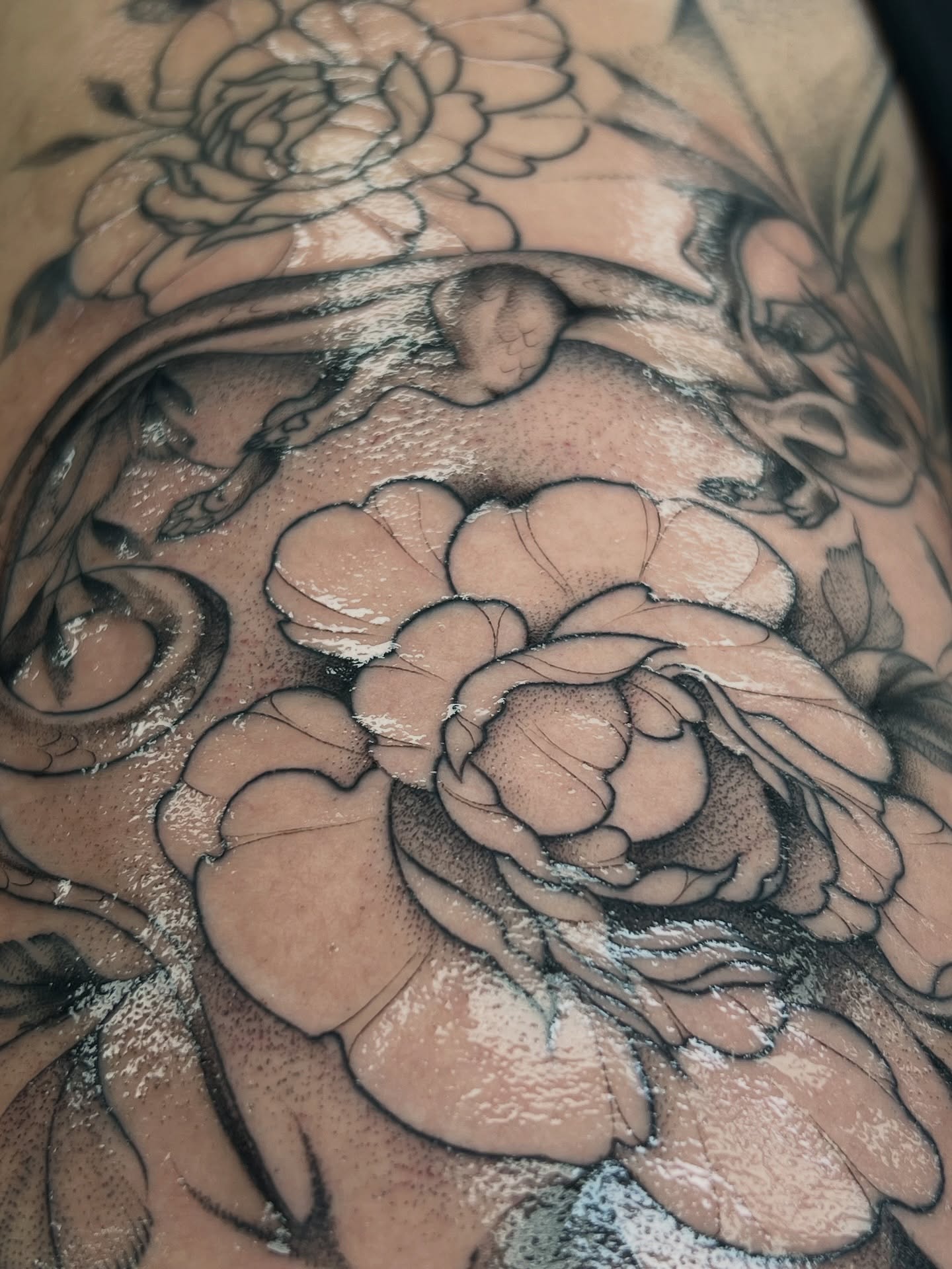 Peony dotwork tattoo on the chest by Chloe
