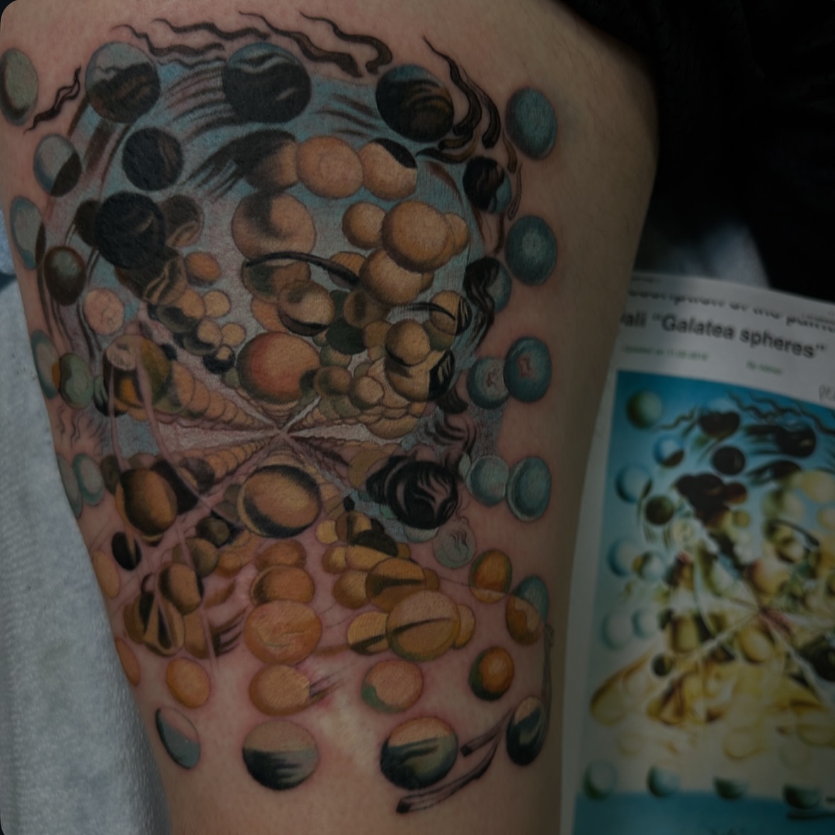 Tattoo by John Tarrao / Tattoo, Berwyn, Pennsylvania
