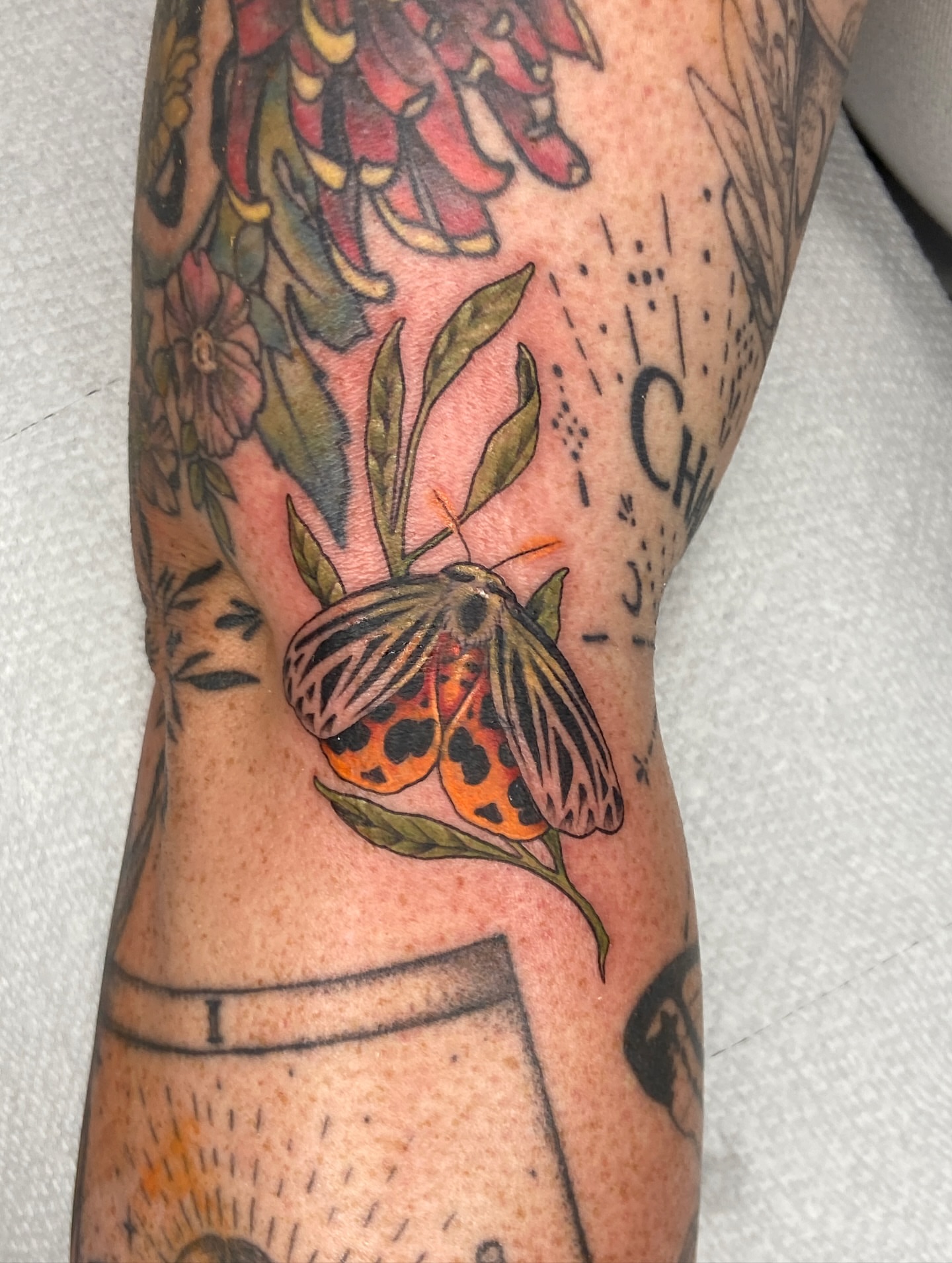 Tattoo by @blairrydell — american_traditional