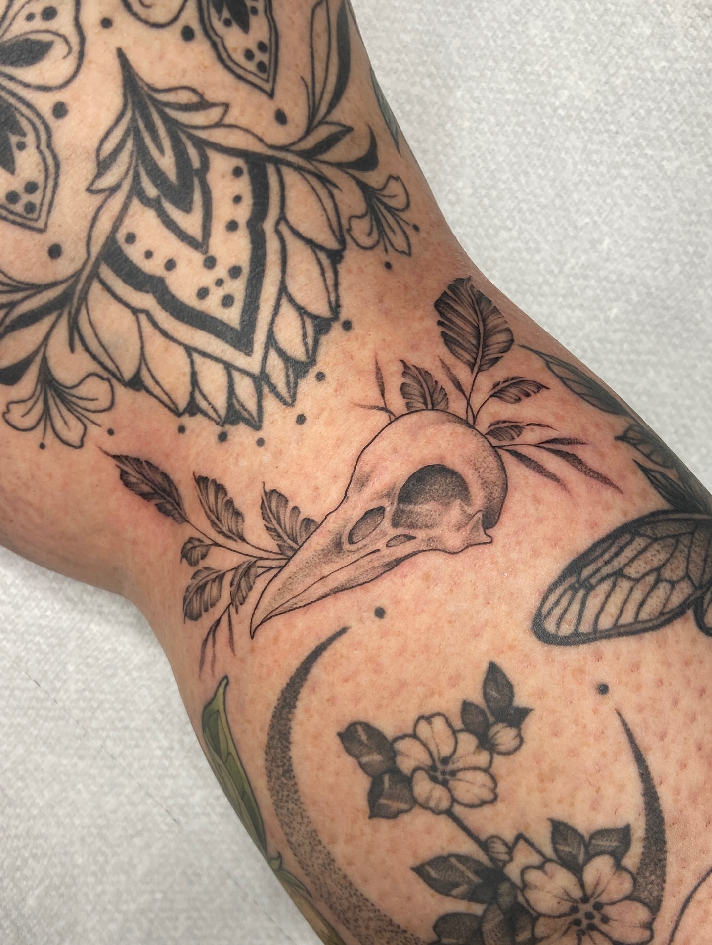 Tattoo by @blairrydell — black_and_grey, dotwork