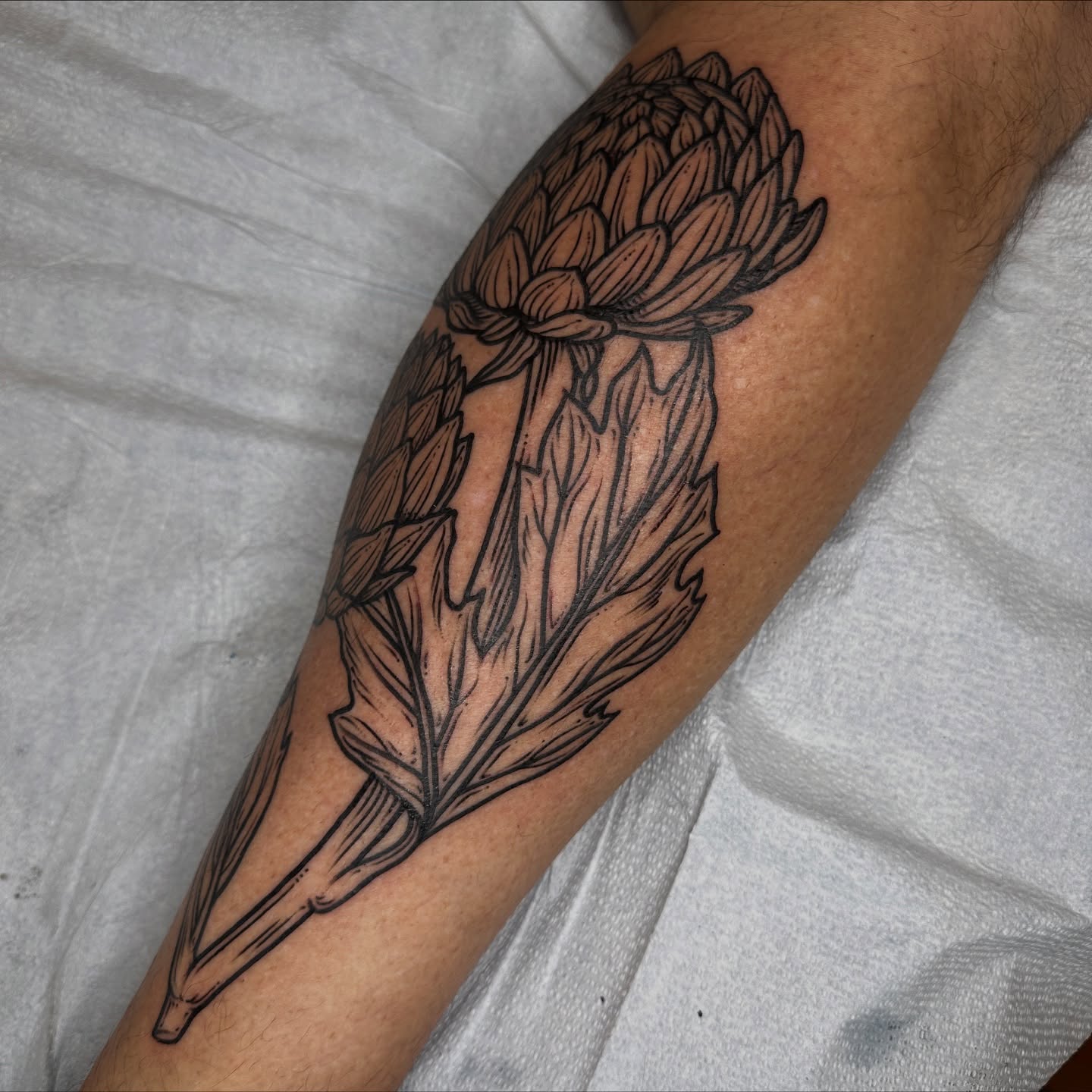 Protea flower black and grey tattoo on the forearm by rosalie
