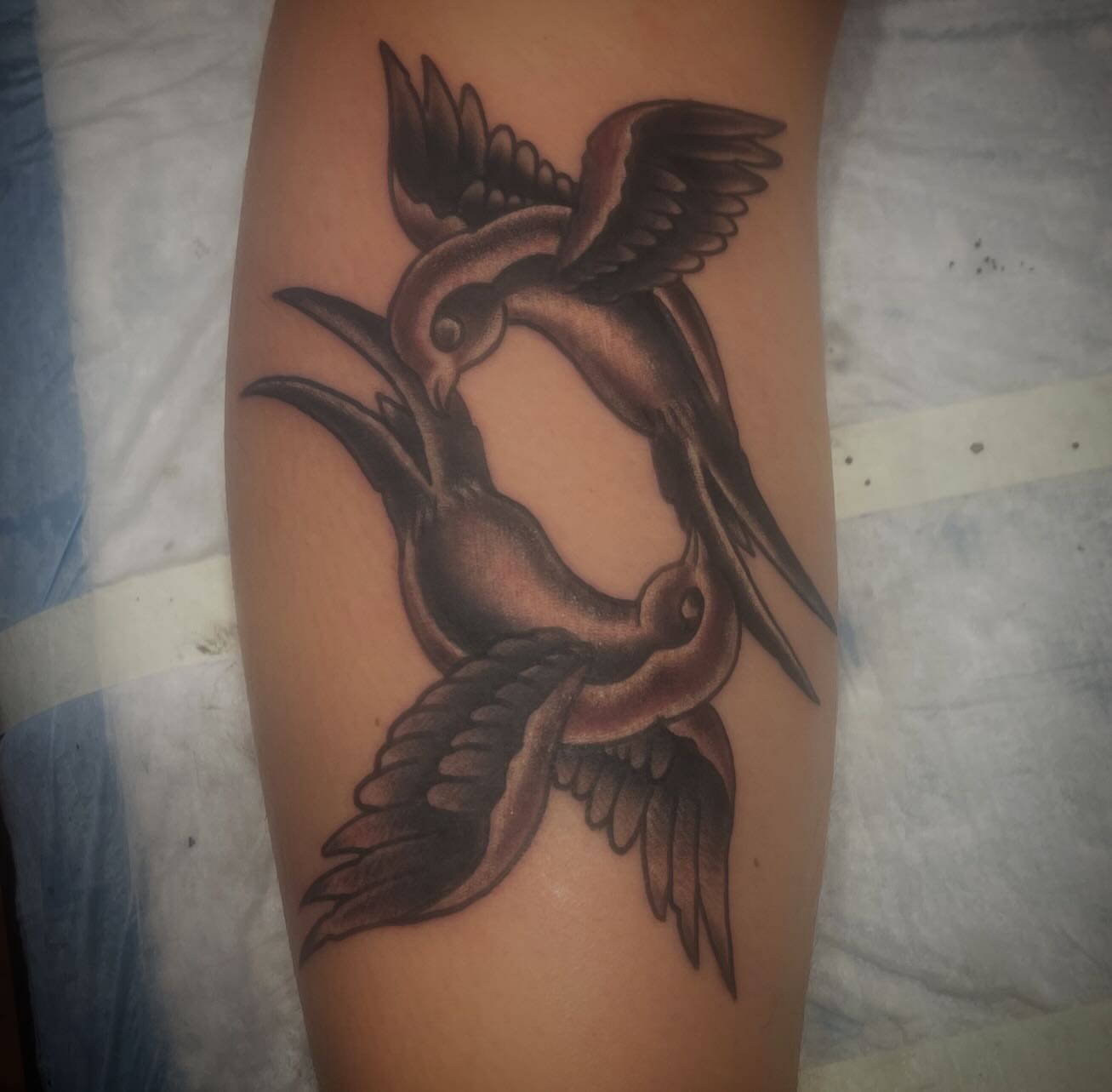Birds American traditional tattoo on the forearm by Don Juan