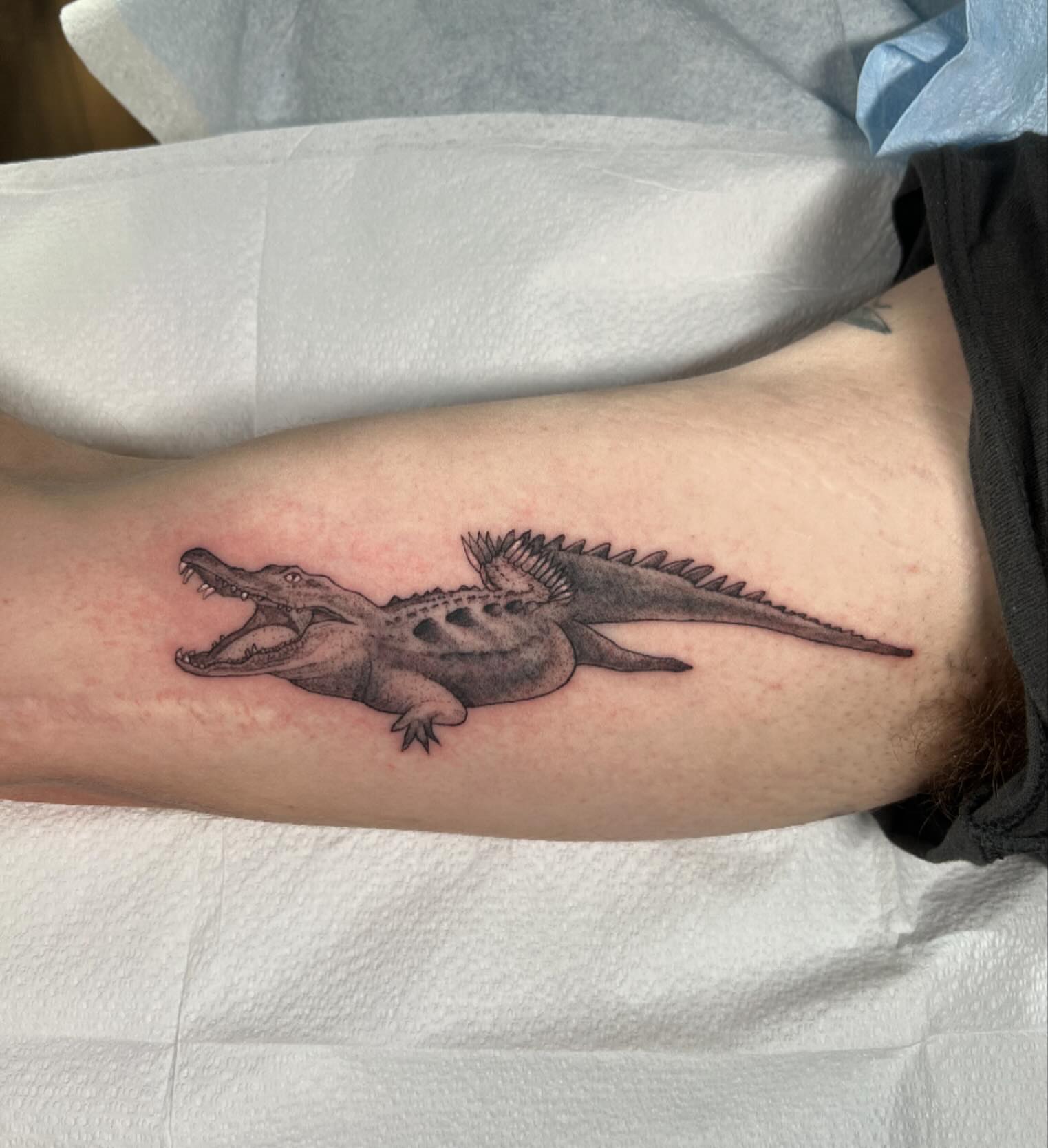 Alligator realism tattoo on the forearm by sarah bug