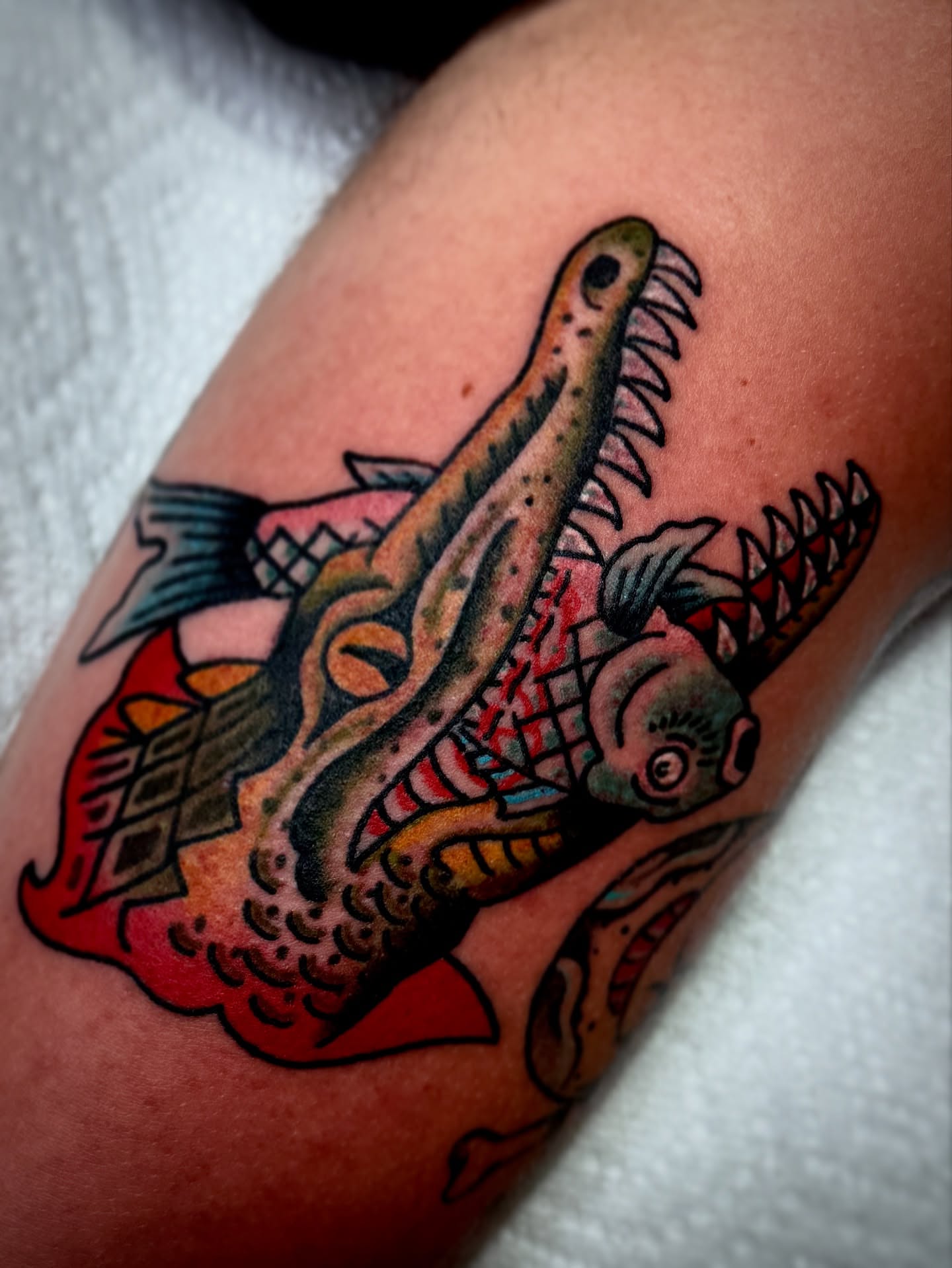 Crocodile American traditional tattoo on the forearm by Drew McElveney, Austin, Texas