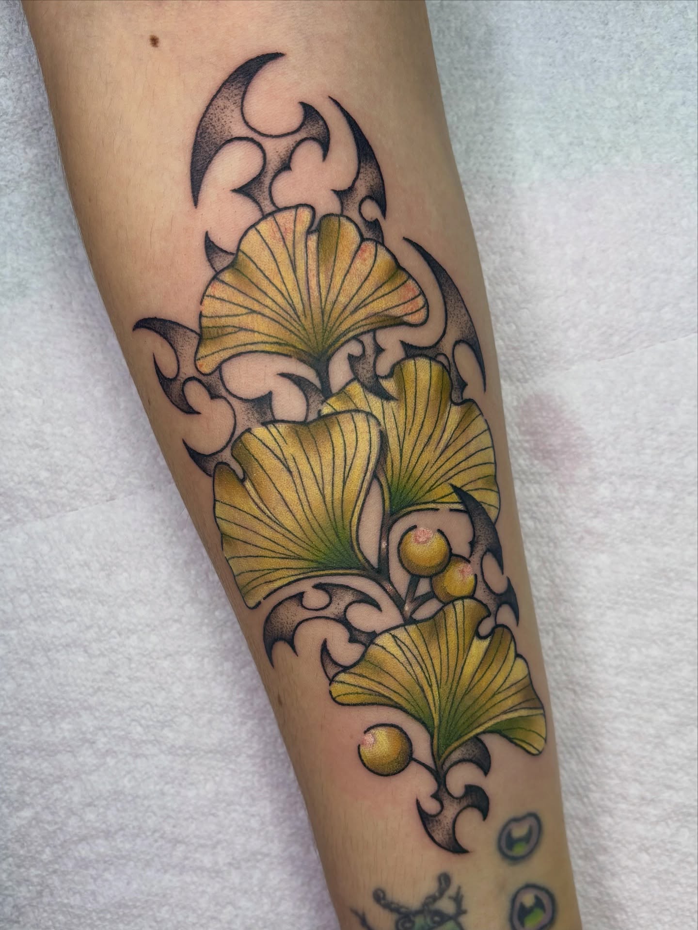 Gingko leaves and berries ornamental tattoo on the forearm by Lilac Rose