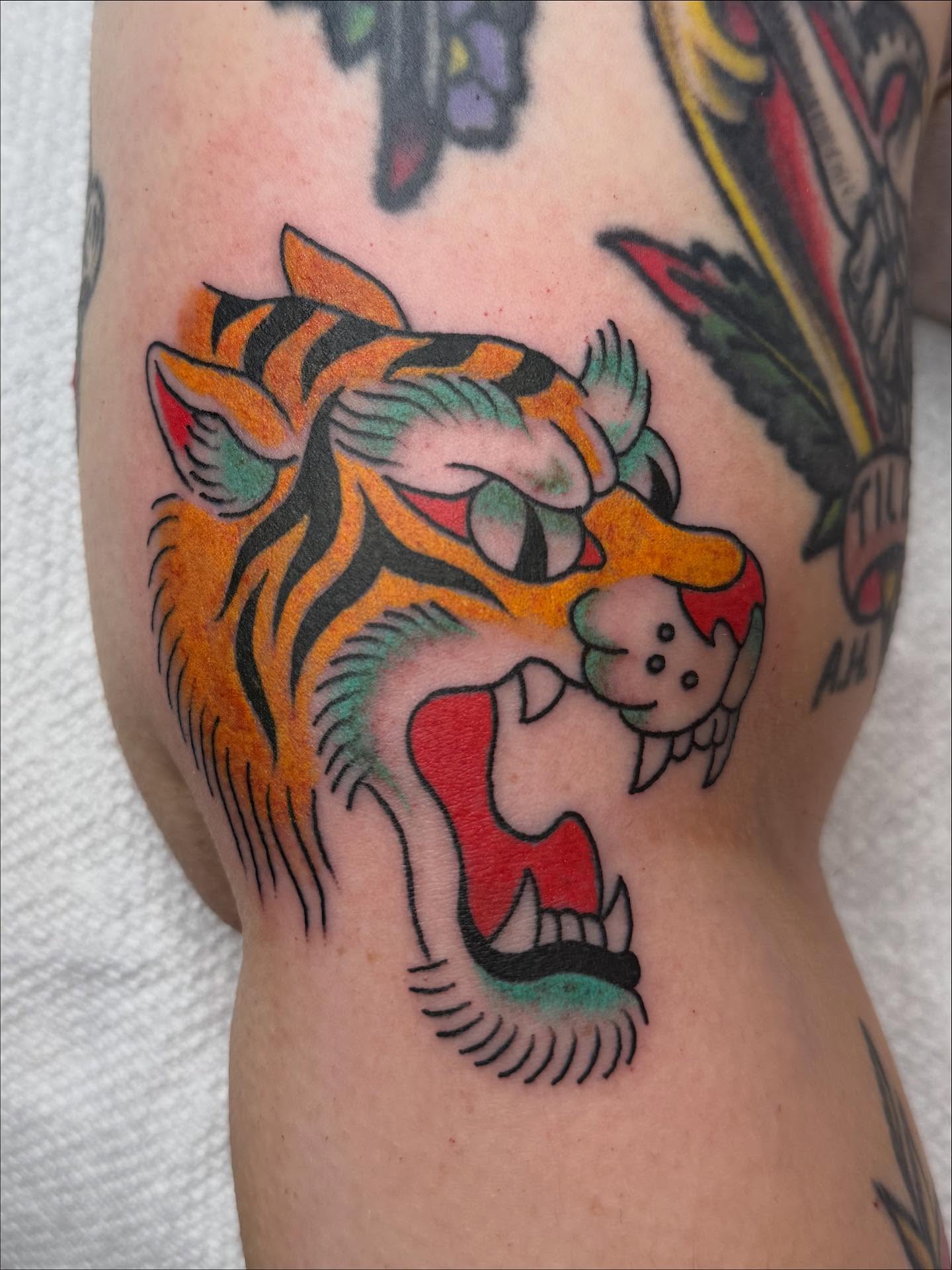 Tiger American traditional tattoo on the forearm by Emma Eaton