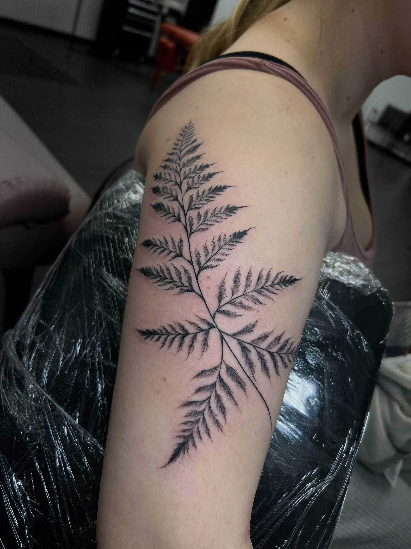 Fern black and grey tattoo on the upper arm by Chloe