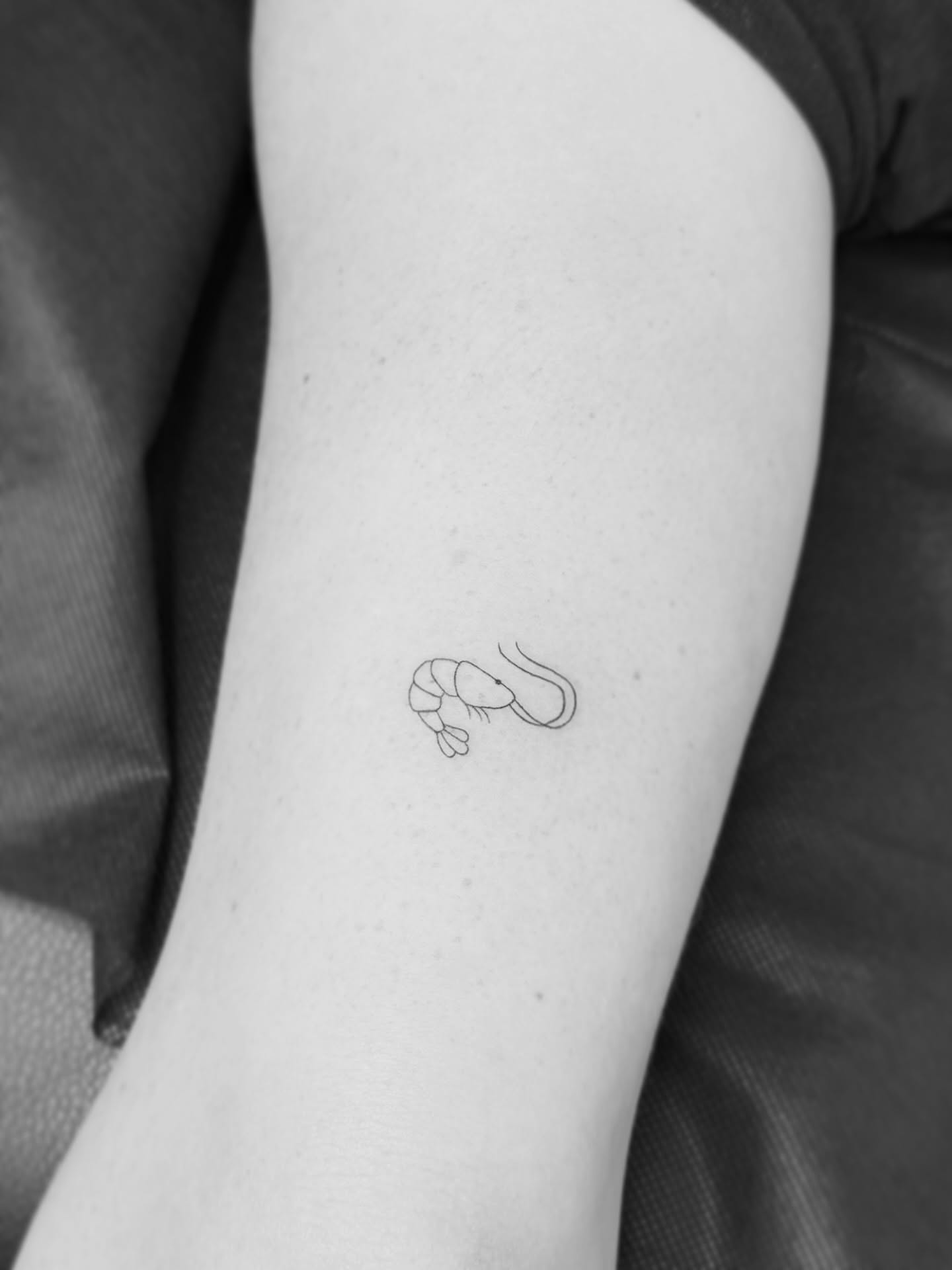 Prawn minimalist tattoo on the forearm by Yuli Noama