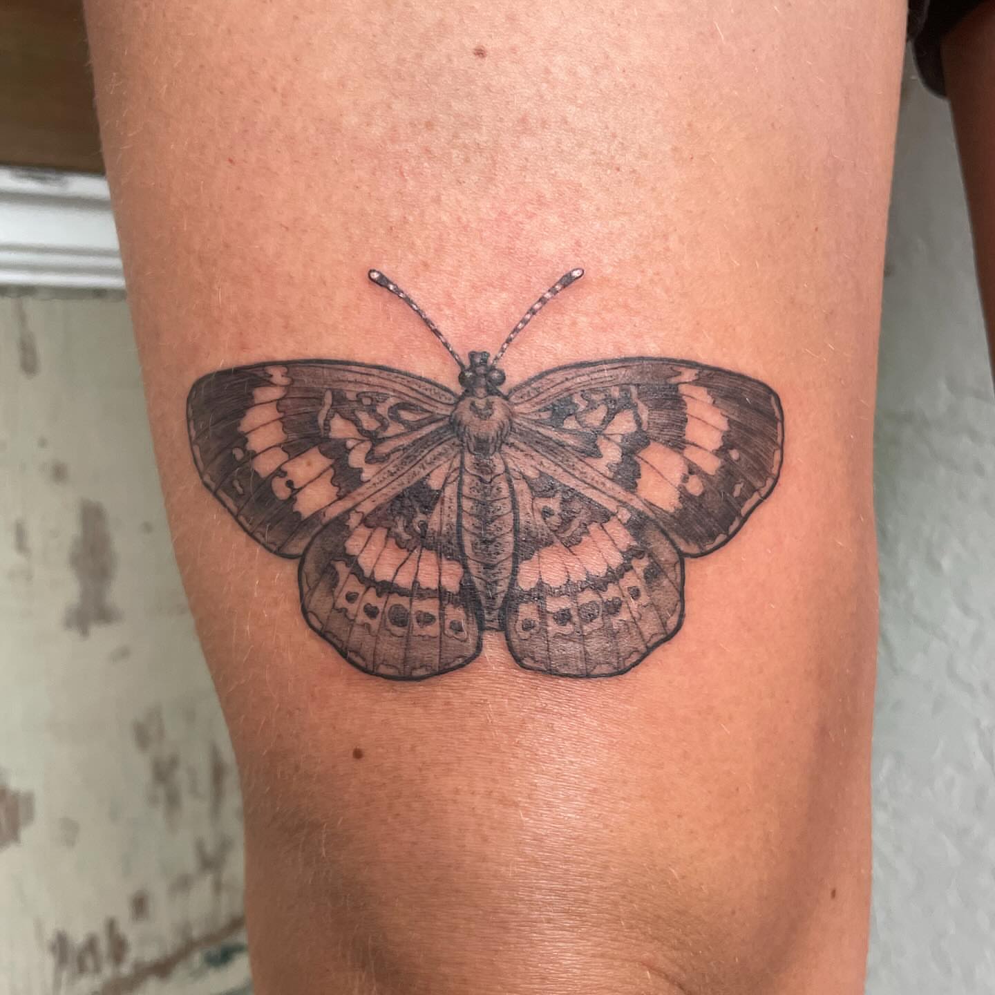 Butterfly black and grey tattoo on the forearm by Ally Easter, Berkeley, California
