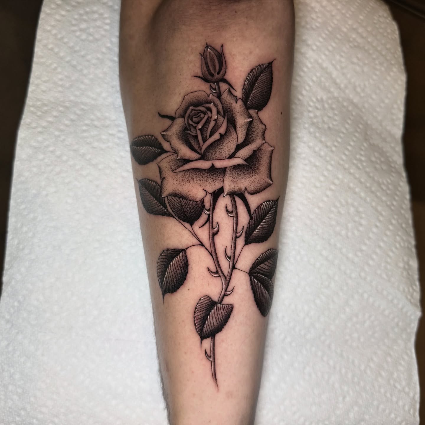 Rose black and grey tattoo on the forearm by @sadfoo_tattoo, Austin, Texas