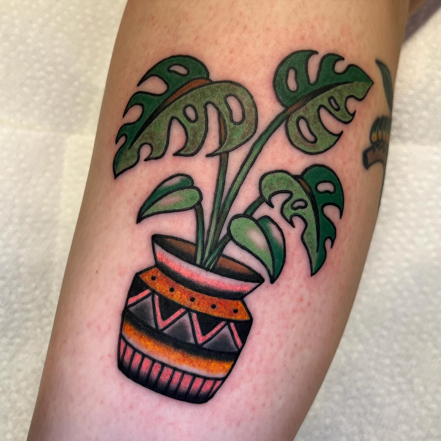 Monstera plant in pot American traditional tattoo on the forearm by CJ Ligocki - Ferndale Detroit Michigan Tattoo, Ferndale, Michigan