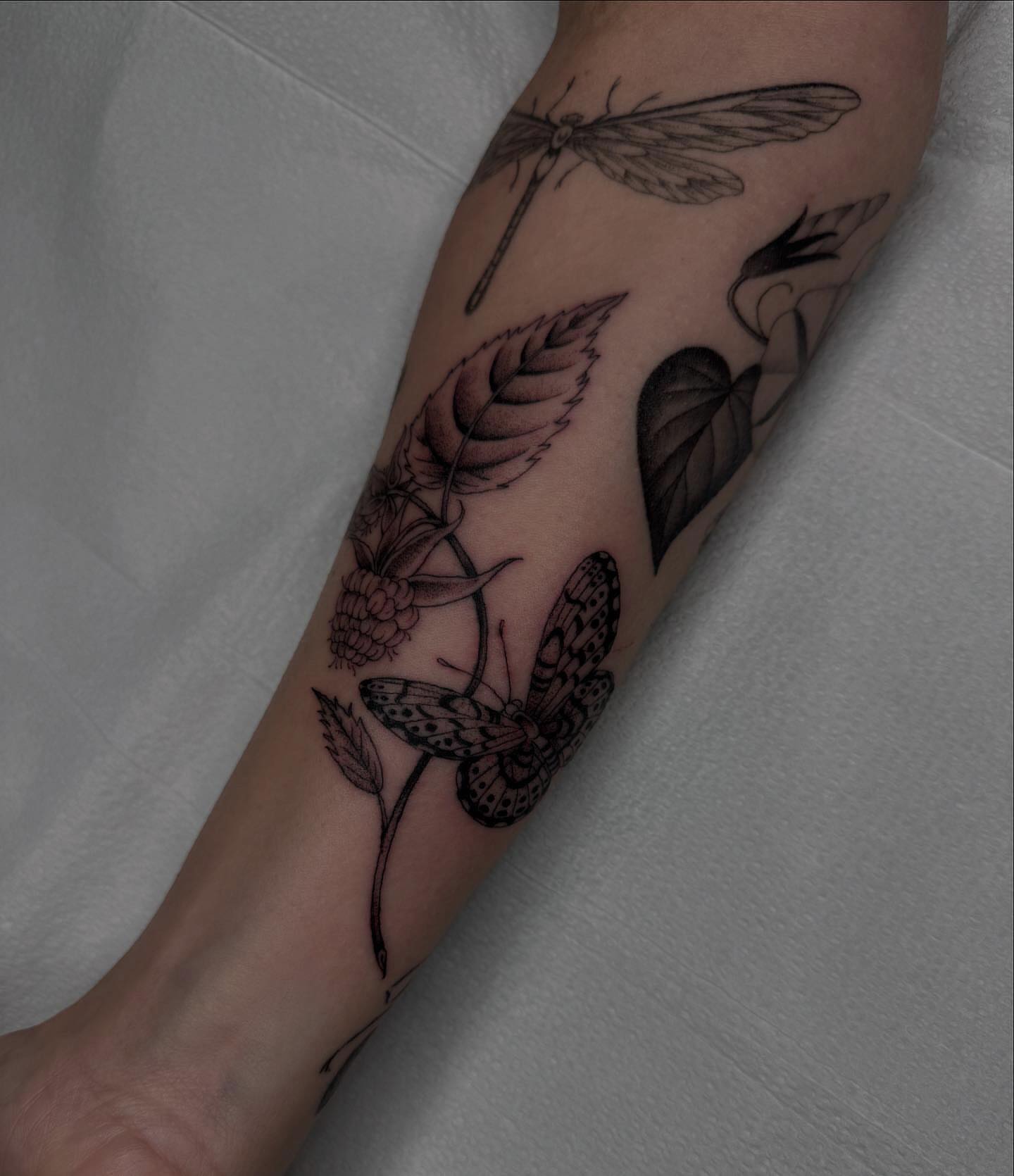 Tattoo by @mothmilk — black_and_grey