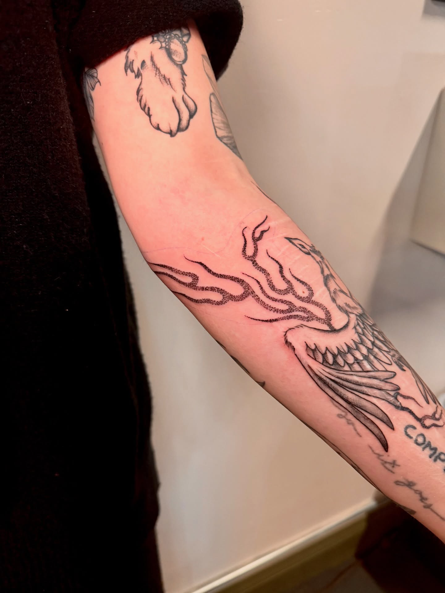 Phoenix black and grey tattoo on the forearm by Abby ✣ fineline and blackwork ✣