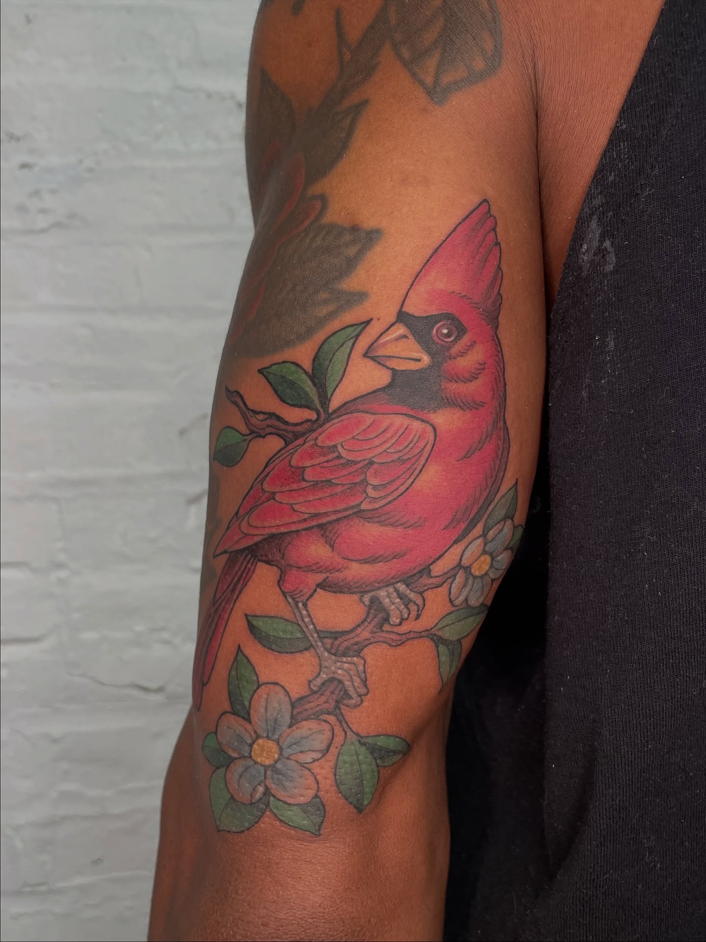 Cardinal bird American traditional tattoo on the forearm by Collie Mills, Philadelphia, Pennsylvania