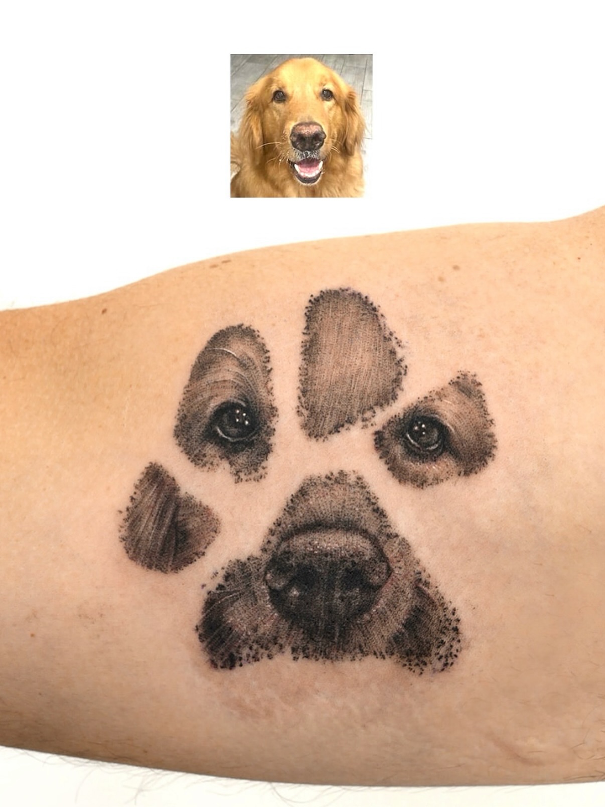 Dog paw print dotwork tattoo on the forearm by Ria Kim 김리아