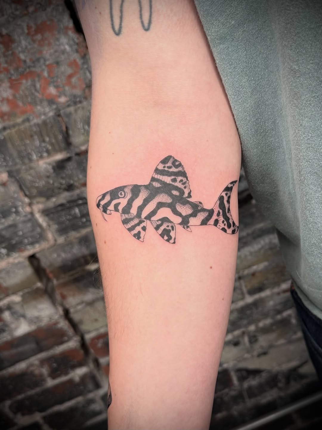 Tattoo by @tattoos.stephanie — dotwork, black_and_grey