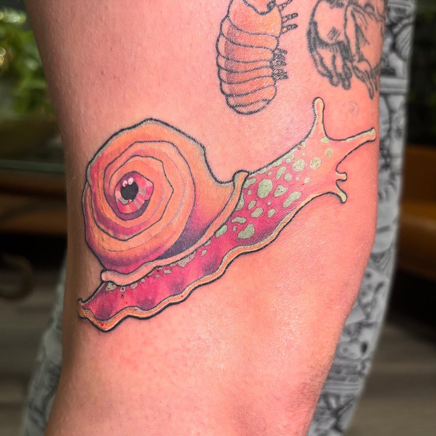 Snail realism tattoo on the forearm by Rachel Foster
