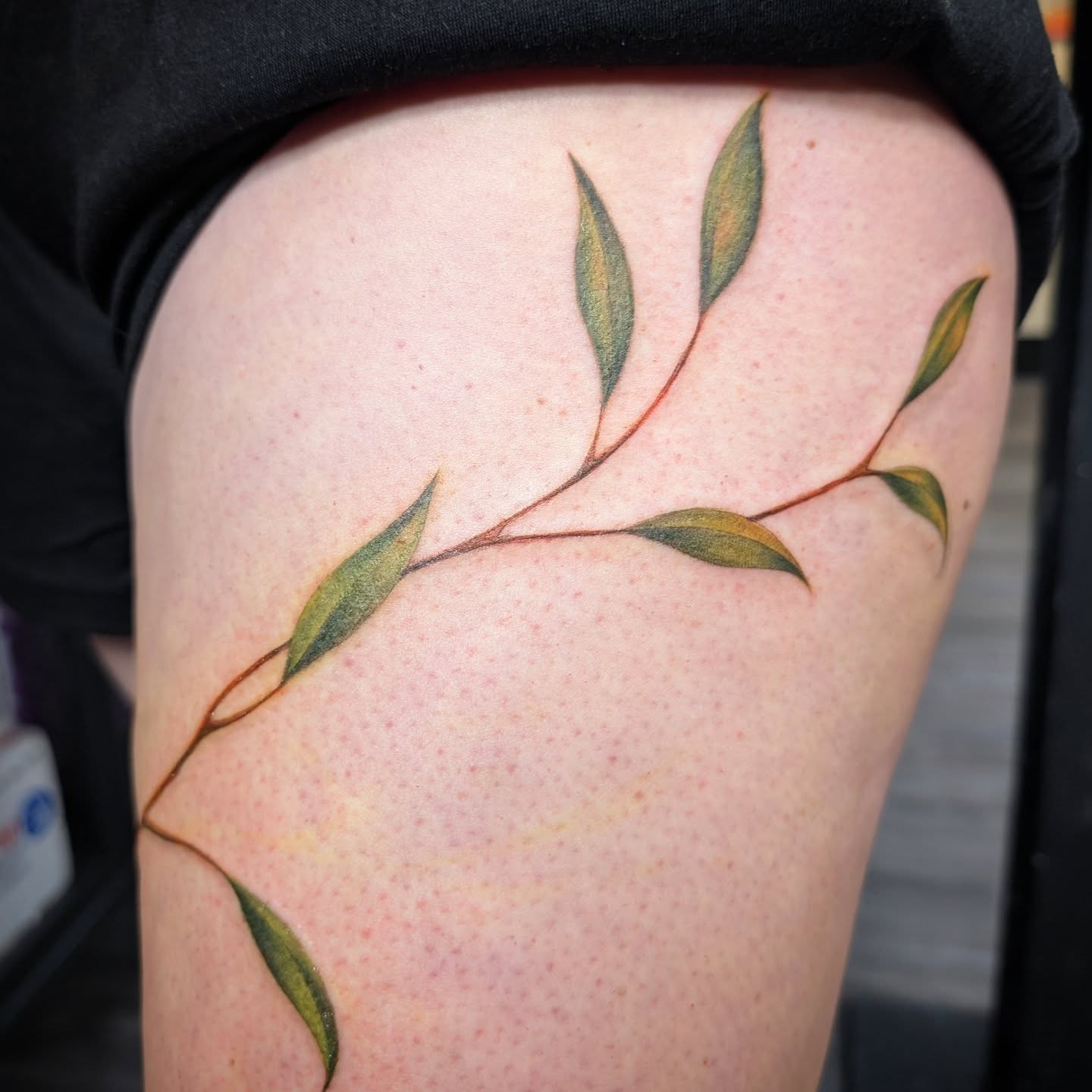 Branch with leaves realism tattoo on the thigh by Michaela May