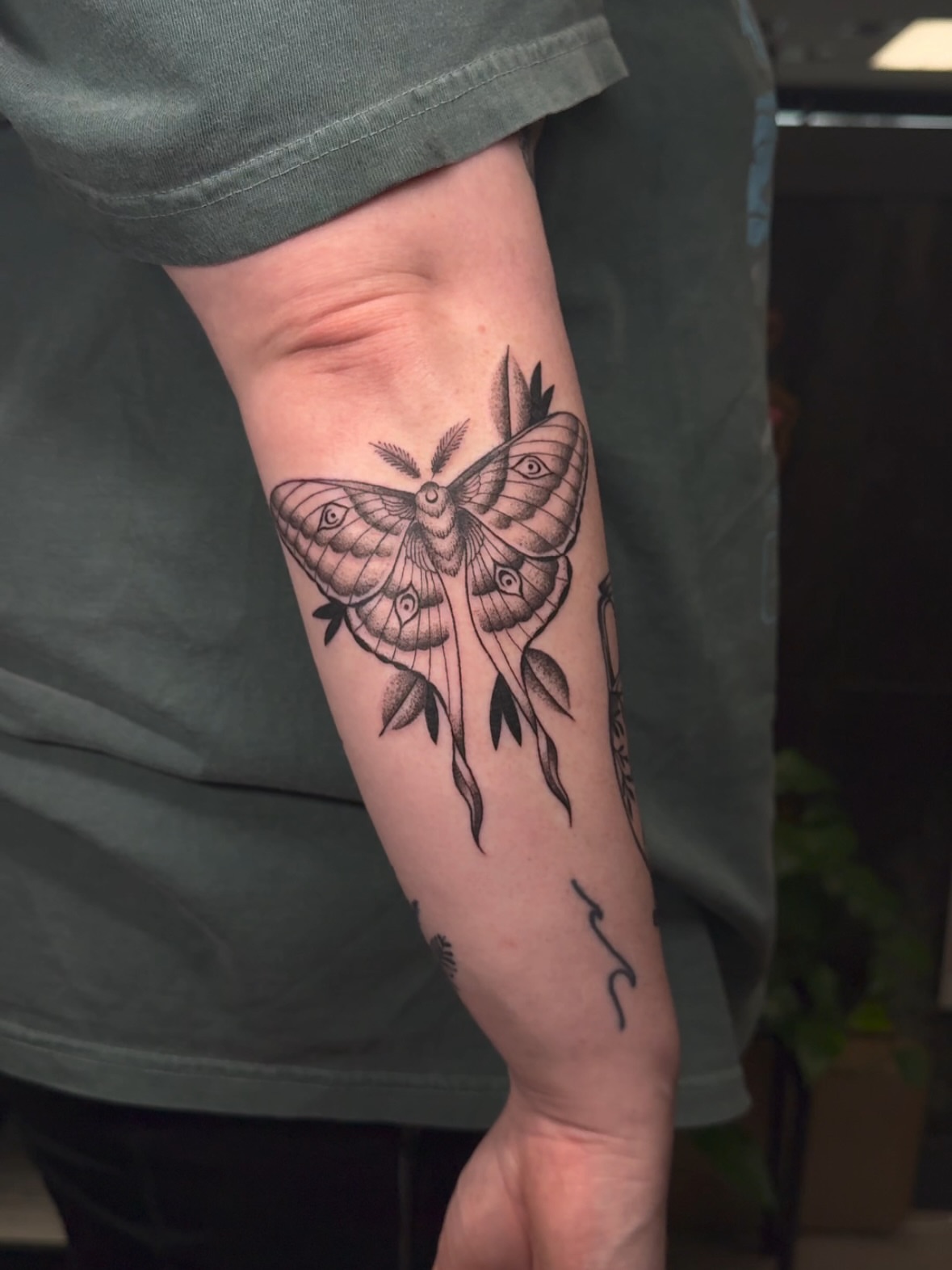 Moth black and grey tattoo on the forearm by πππͺ‘