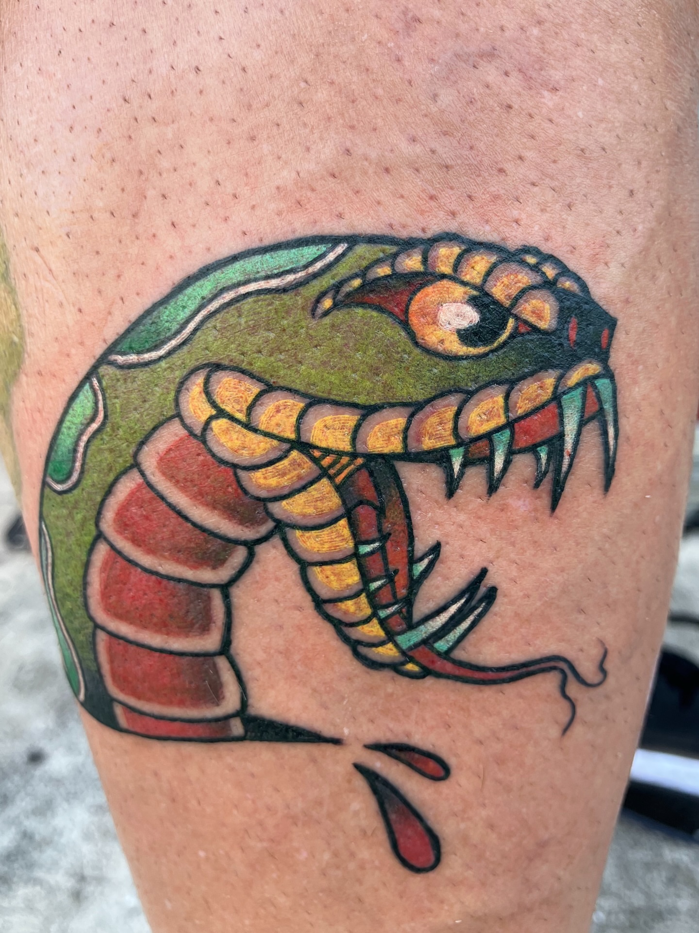 Snake American traditional tattoo on the forearm by Neotrav Tattoos