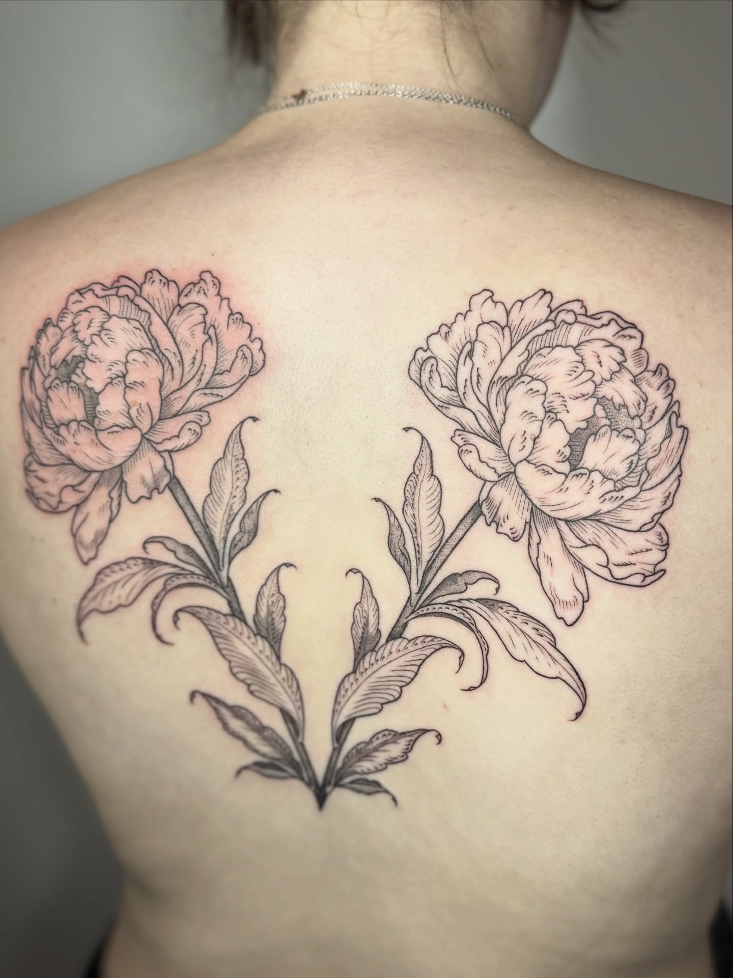 Tattoo by @mollyjonestattoo — black_and_grey