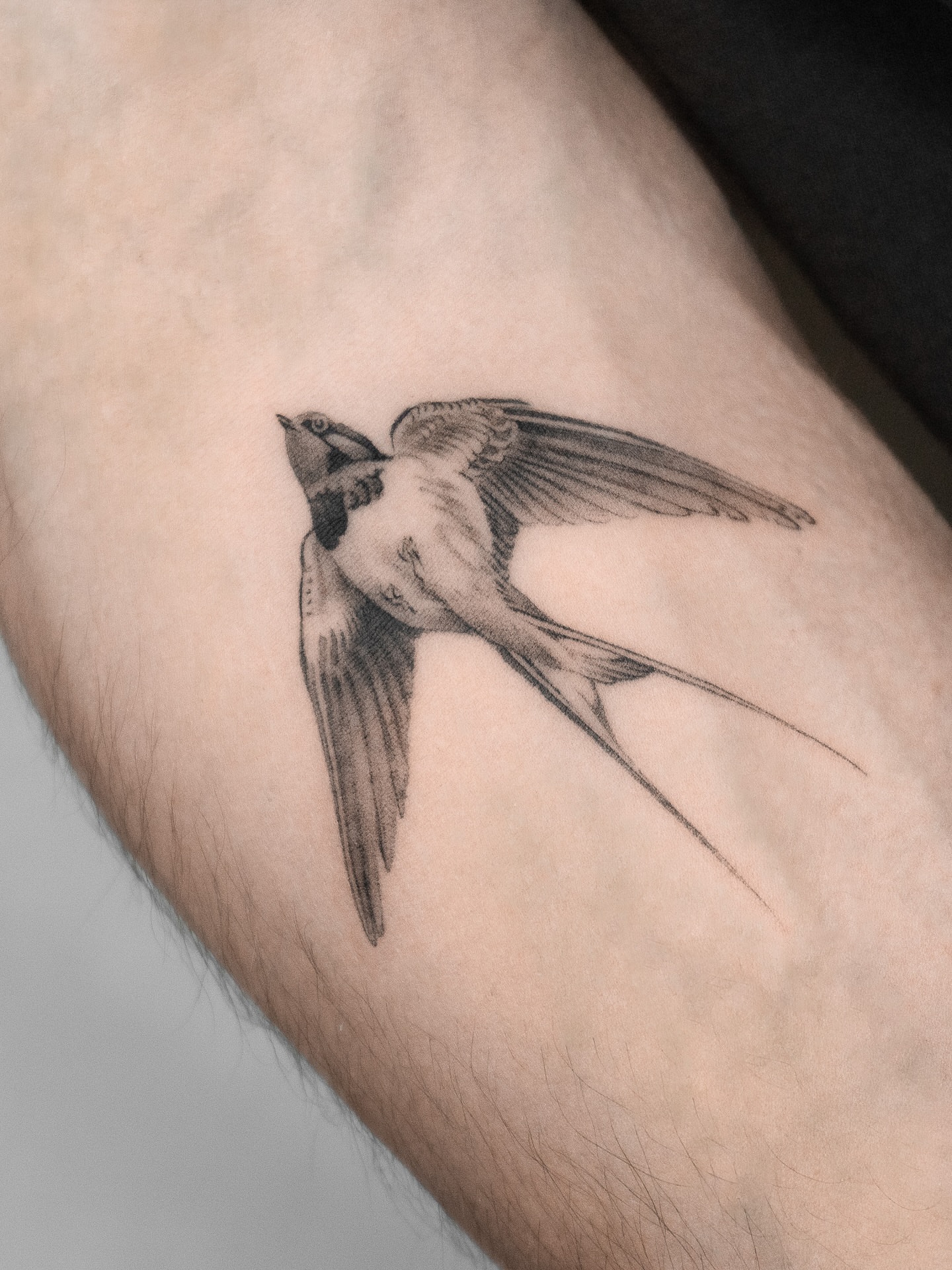Tattoo by @lemontreeink — realism