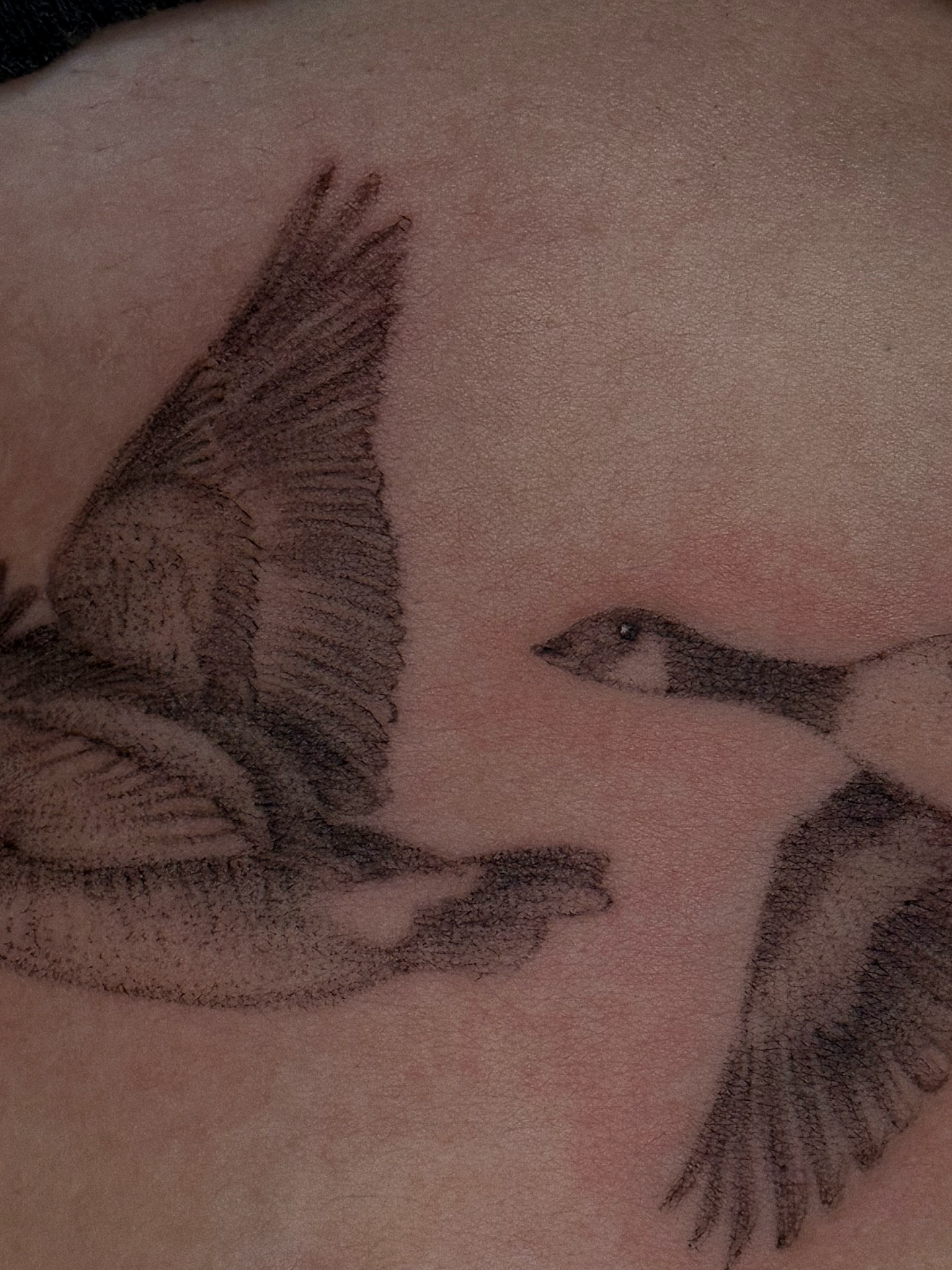Geese realism tattoo on the upper arm by elena