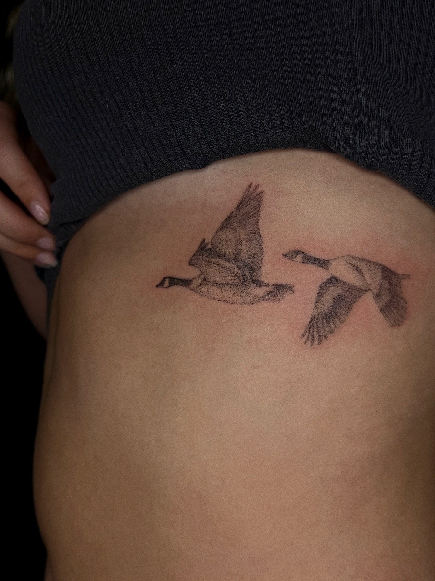 Ducks in flight realism tattoo on the ribs by elena