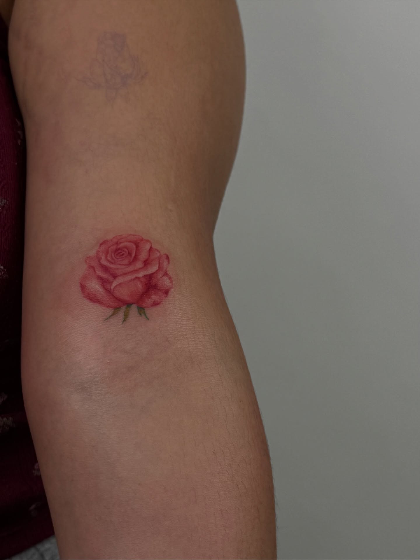 Rose realism tattoo on the forearm by sabina