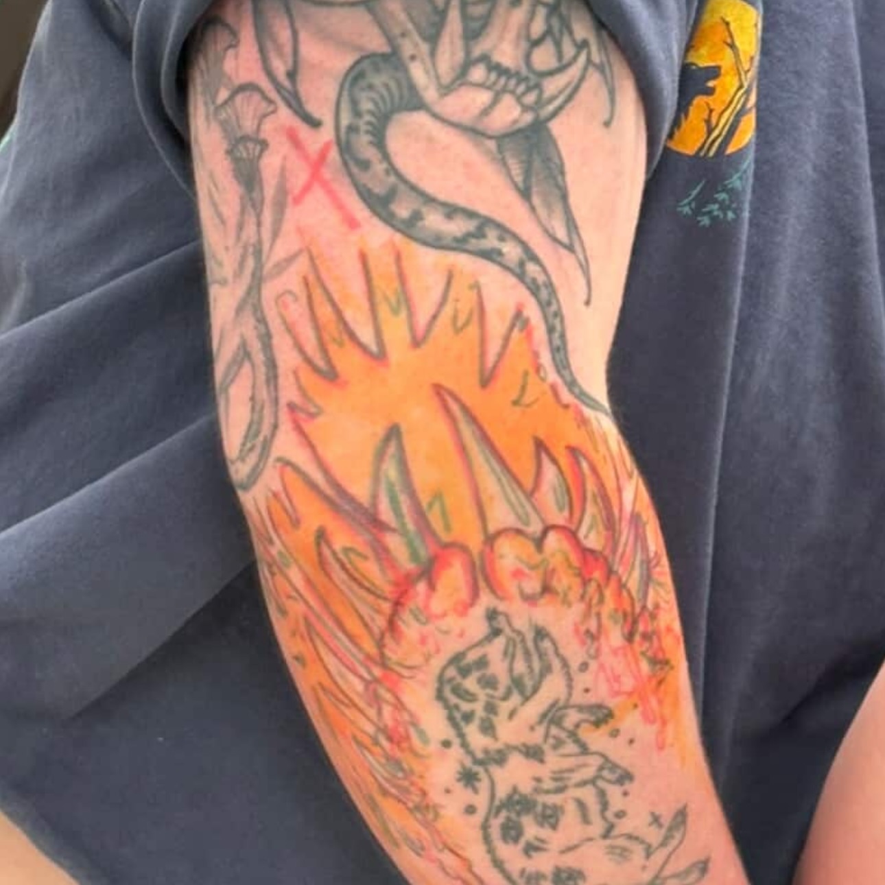 Tattoo by @carnivorousfx — american_traditional, dotwork