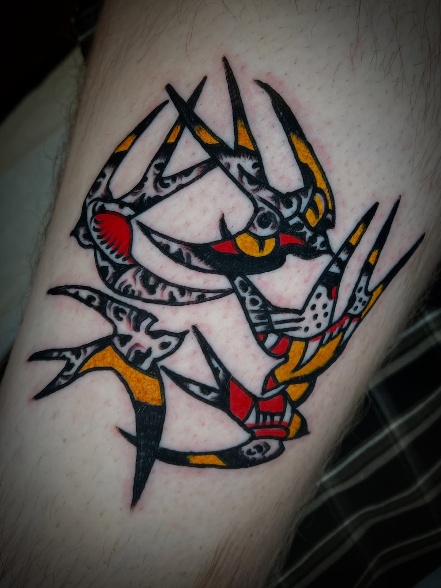 Clawed animal American traditional tattoo on the forearm by 💥Jeff Klug💥, Austin, Texas