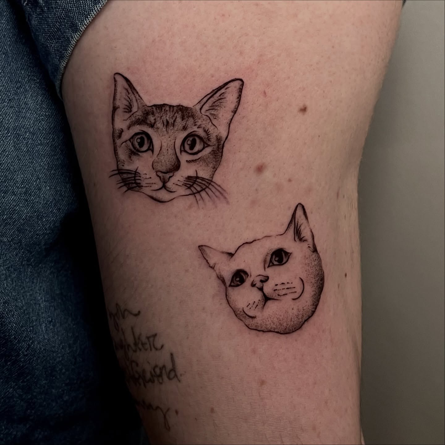 Cat faces realism tattoo on the thigh by ˖.𖥔 ݁˖anna hoffman˖ ⊹ ࣪ ˖, Salt Lake City, Utah