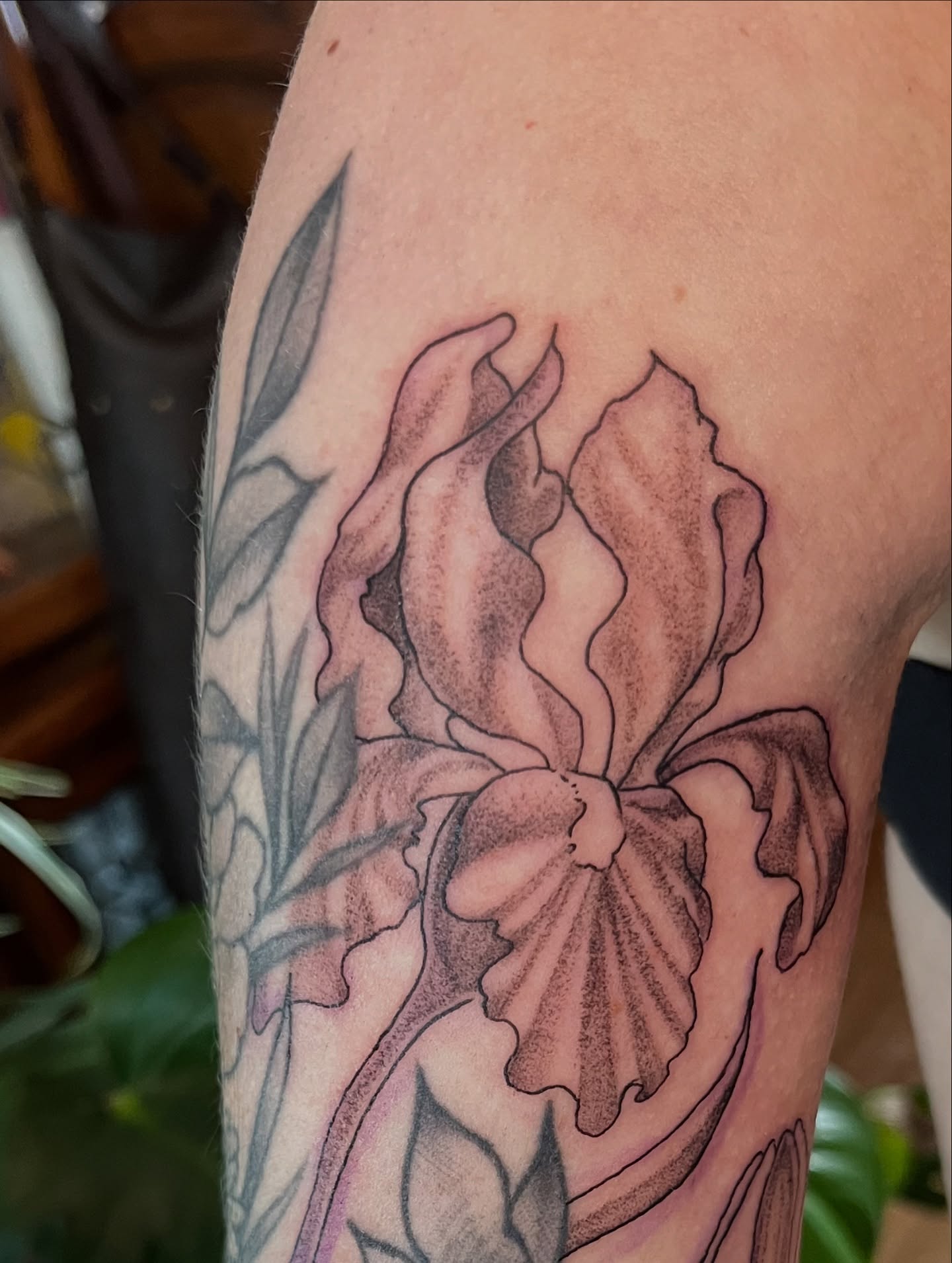 Tattoo by @syreetattoos — black_and_grey