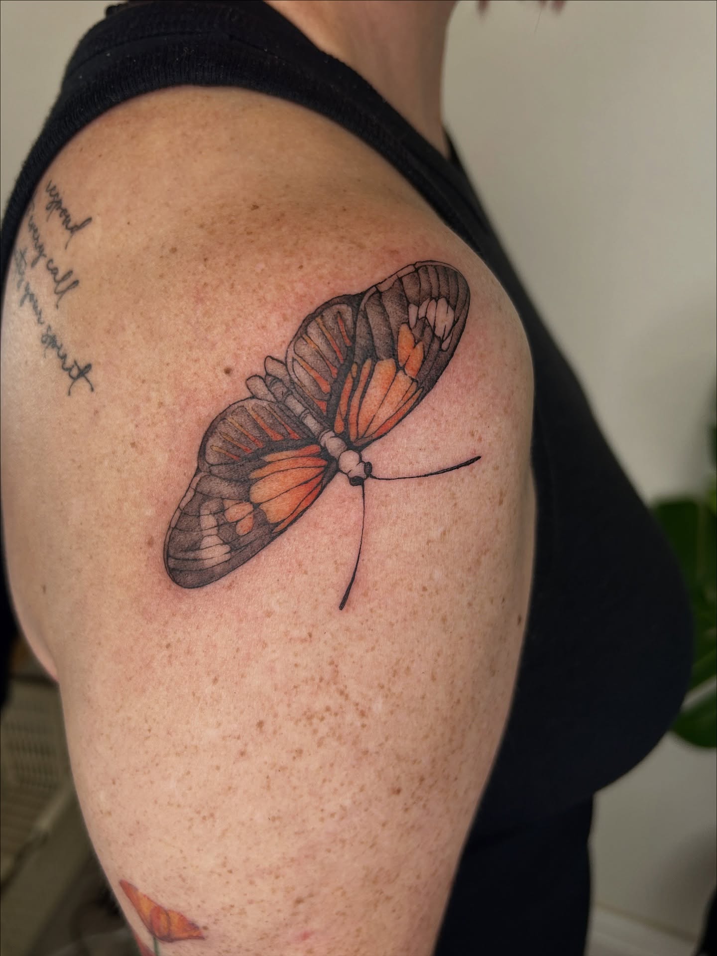 Butterfly realism tattoo on the shoulder by Miri