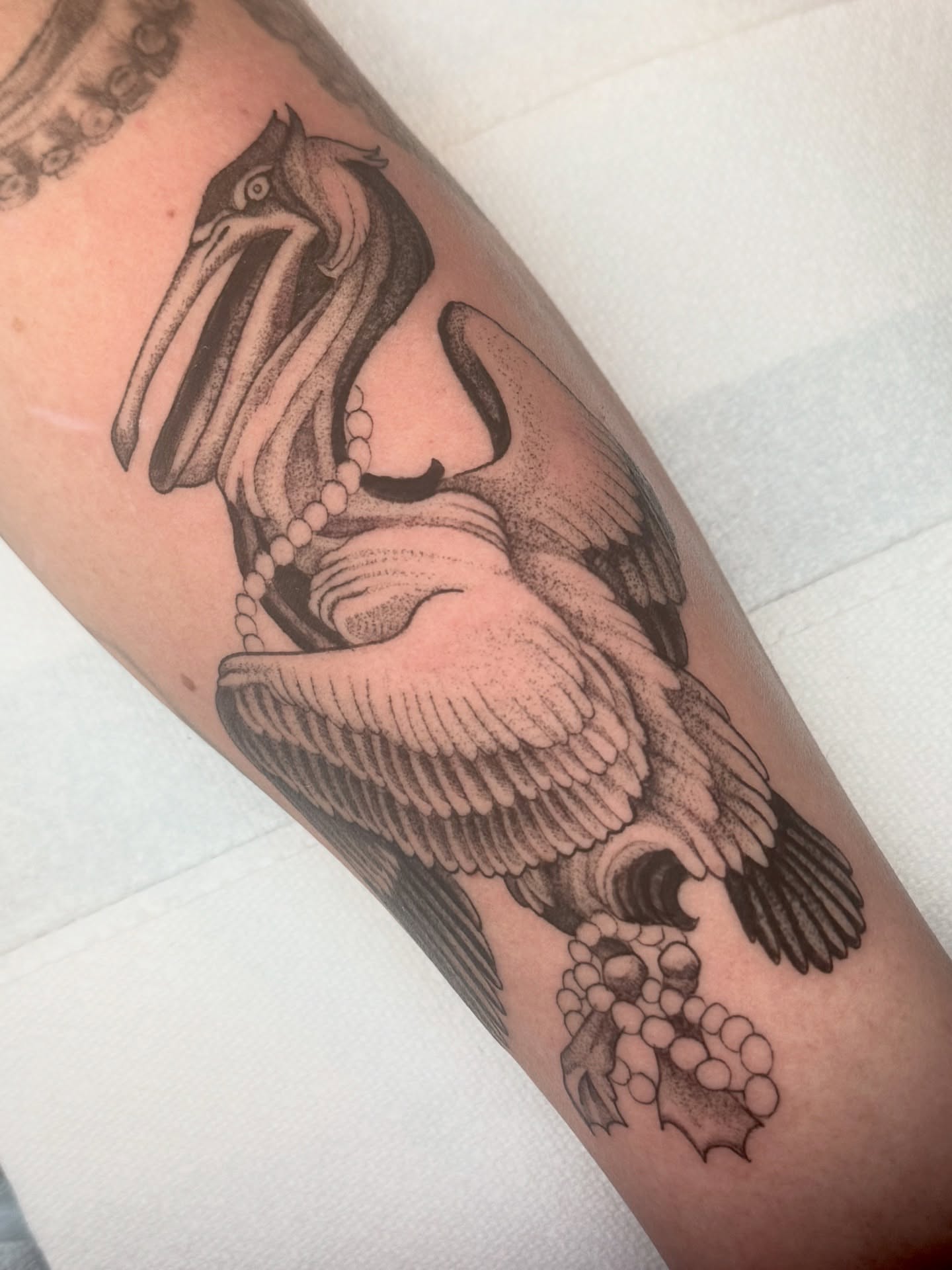 Pelican black and grey tattoo on the forearm by Erick Mendivil