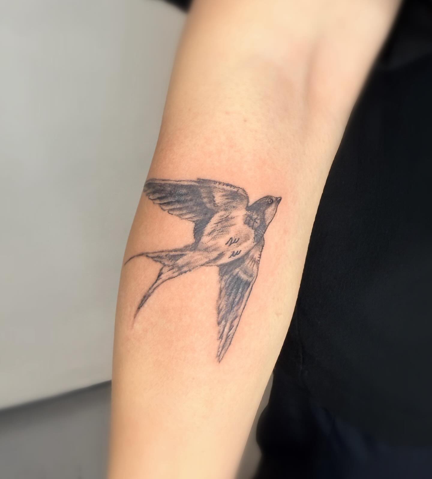 Bird black and grey tattoo on the forearm by Joey tattoo