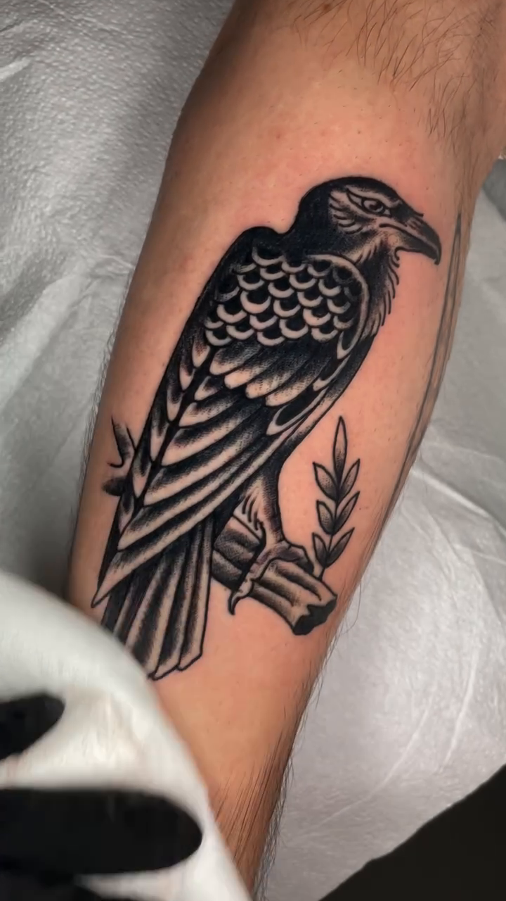Raven blackwork tattoo by Joseph Robertson, Portland, Oregon