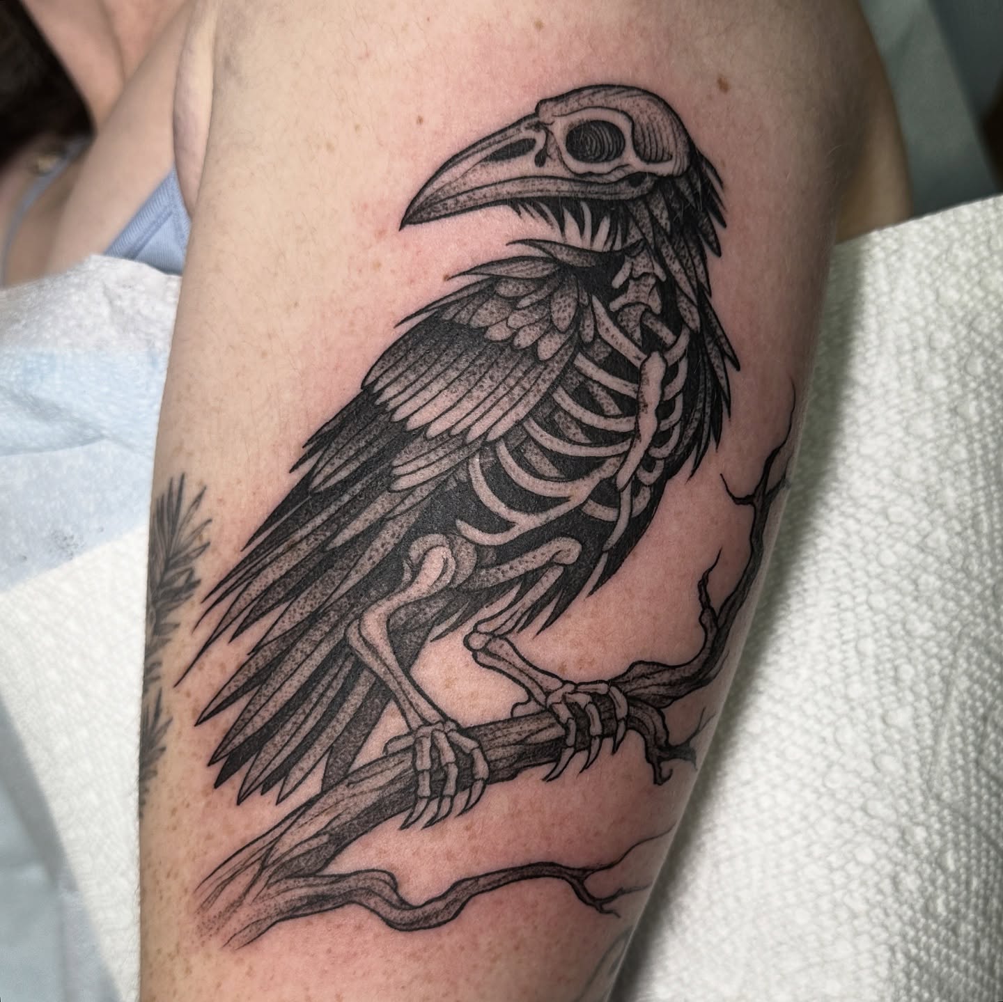 Raven skeleton black and grey tattoo on the forearm by Robert McCollum