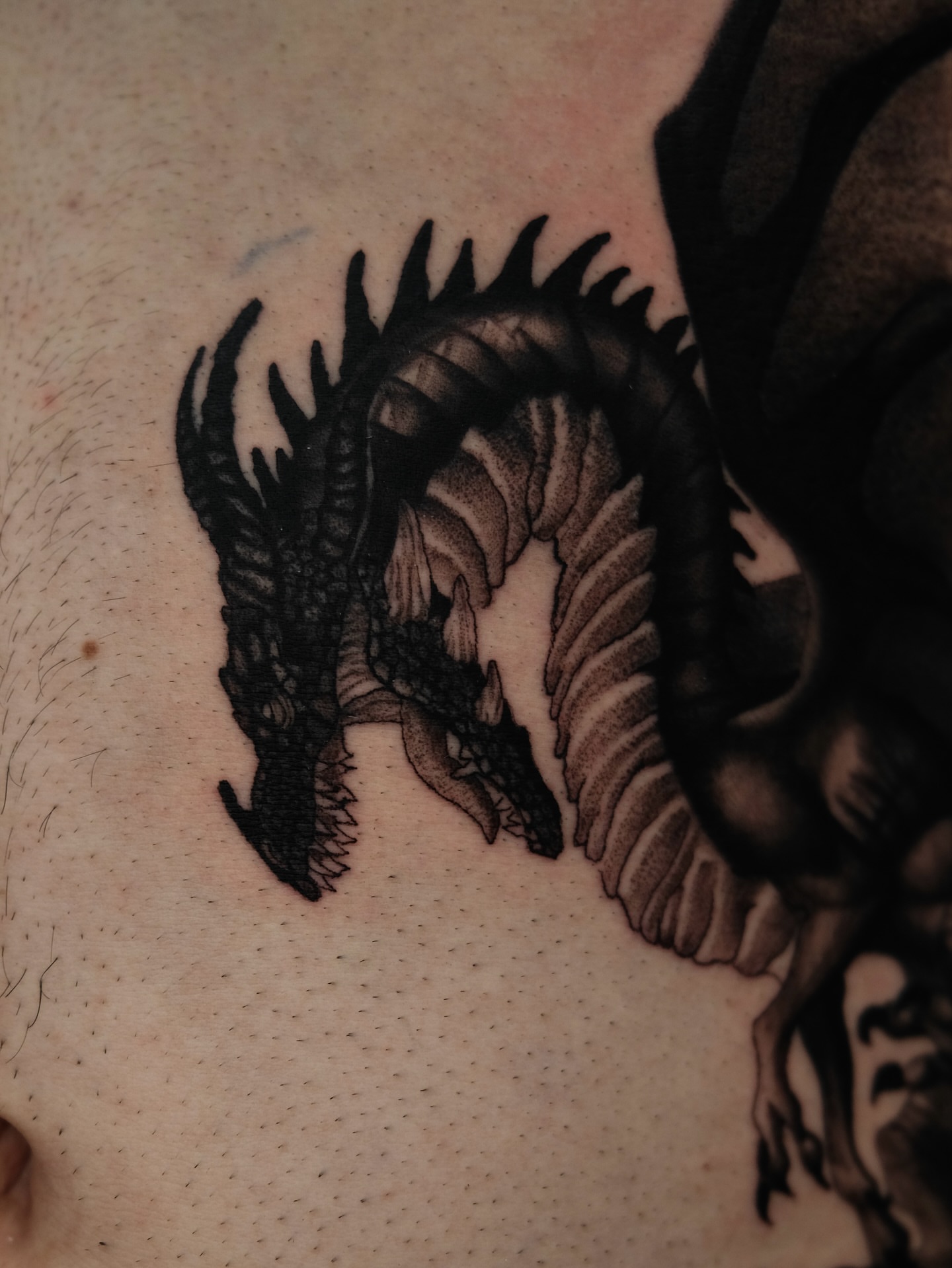 Tattoo by @tattoosbybelen β black_and_grey